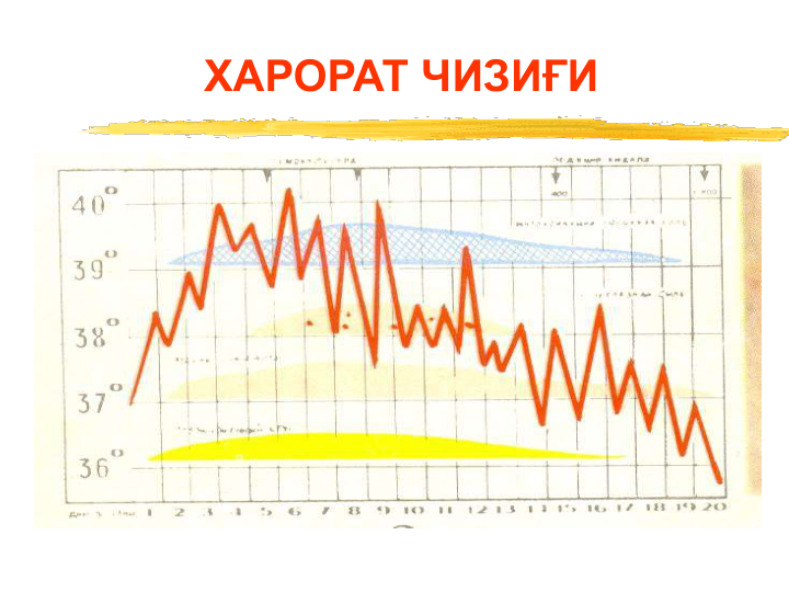 ХАРОРАТ ЧИЗИҒИ
