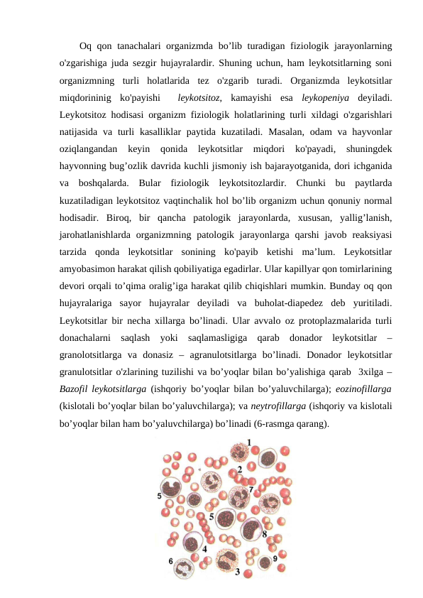 Oq qon tanachalari organizmda bo’lib turadigan fiziologik jarayonlarning
o'zgarishiga juda sezgir hujayralardir. Shuning uchun, ham leykotsitlarning soni
organizmning  turli  holatlarida  tez  o'zgarib  turadi.  Organizmda  leykotsitlar
miqdorininig  ko'payishi  
 leykotsitoz,  kamayishi  esa  leykopeniya deyiladi.
Leykotsitoz hodisasi organizm fiziologik holatlarining turli xildagi o'zgarishlari
natijasida va  turli  kasalliklar  paytida kuzatiladi.  Masalan,  odam  va hayvonlar
oziqlangandan  keyin  qonida  leykotsitlar  miqdori  ko'payadi,  shuningdek
hayvonning bug’ozlik davrida kuchli jismoniy ish bajarayotganida, dori ichganida
va  boshqalarda.  Bular  fiziologik  leykotsitozlardir.  Chunki  bu  paytlarda
kuzatiladigan leykotsitoz vaqtinchalik hol bo’lib organizm uchun qonuniy normal
hodisadir.  Biroq,  bir  qancha  patologik  jarayonlarda,  xususan,  yallig’lanish,
jarohatlanishlarda  organizmning  patologik  jarayonlarga  qarshi  javob  reaksiyasi
tarzida  qonda  leykotsitlar  sonining  ko'payib  ketishi  ma’lum.  Leykotsitlar
amyobasimon harakat qilish qobiliyatiga egadirlar. Ular kapillyar qon tomirlarining
devori orqali to’qima oralig’iga harakat qilib chiqishlari mumkin. Bunday oq qon
hujayralariga  sayor  hujayralar  deyiladi  va  buholat-diapedez  deb  yuritiladi.
Leykotsitlar bir necha xillarga bo’linadi. Ular avvalo oz protoplazmalarida turli
donachalarni  saqlash  yoki  saqlamasligiga  qarab  donador  leykotsitlar  –
granolotsitlarga  va  donasiz  –  agranulotsitlarga  bo’linadi.  Donador  leykotsitlar
granulotsitlar o'zlarining tuzilishi va bo’yoqlar bilan bo’yalishiga qarab  3xilga –
Bazofil leykotsitlarga  (ishqoriy bo’yoqlar bilan bo’yaluvchilarga);  eozinofillarga
(kislotali bo’yoqlar bilan bo’yaluvchilarga); va neytrofillarga (ishqoriy va kislotali
bo’yoqlar bilan ham bo’yaluvchilarga) bo’linadi (6-rasmga qarang).
