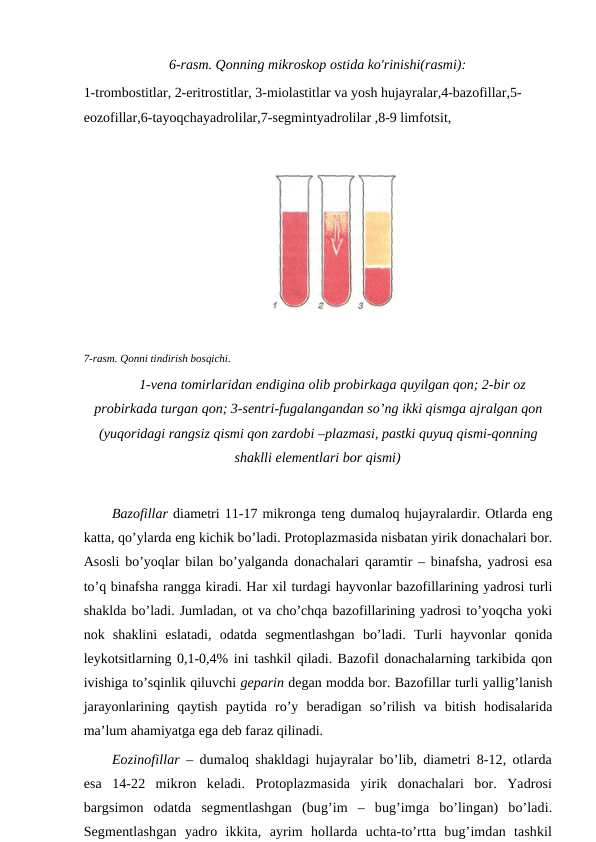 6-rasm. Qonning mikroskop ostida ko'rinishi(rasmi):
1-trombostitlar, 2-eritrostitlar, 3-miolastitlar va yosh hujayralar,4-bazofillar,5-
eozofillar,6-tayoqchayadrolilar,7-segmintyadrolilar ,8-9 limfotsit,
7-rasm. Qonni tindirish bosqichi.
1-vena tomirlaridan endigina olib probirkaga quyilgan qon; 2-bir oz
probirkada turgan qon; 3-sentri-fugalangandan so’ng ikki qismga ajralgan qon
(yuqoridagi rangsiz qismi qon zardobi –plazmasi, pastki quyuq qismi-qonning
shaklli elementlari bor qismi)
Bazofillar diametri 11-17 mikronga teng dumaloq hujayralardir. Otlarda eng
katta, qo’ylarda eng kichik bo’ladi. Protoplazmasida nisbatan yirik donachalari bor.
Asosli bo’yoqlar bilan bo’yalganda donachalari qaramtir – binafsha, yadrosi esa
to’q binafsha rangga kiradi. Har xil turdagi hayvonlar bazofillarining yadrosi turli
shaklda bo’ladi. Jumladan, ot va cho’chqa bazofillarining yadrosi to’yoqcha yoki
nok  shaklini  eslatadi,  odatda  segmentlashgan  bo’ladi.  Turli  hayvonlar  qonida
leykotsitlarning 0,1-0,4% ini tashkil qiladi. Bazofil donachalarning tarkibida qon
ivishiga to’sqinlik qiluvchi geparin degan modda bor. Bazofillar turli yallig’lanish
jarayonlarining  qaytish  paytida  ro’y  beradigan  so’rilish  va  bitish  hodisalarida
ma’lum ahamiyatga ega deb faraz qilinadi. 
Eozinofillar – dumaloq shakldagi hujayralar bo’lib, diametri 8-12, otlarda
esa  14-22  mikron  keladi.  Protoplazmasida  yirik  donachalari  bor.  Yadrosi
bargsimon  odatda  segmentlashgan  (bug’im  –  bug’imga  bo’lingan)  bo’ladi.
Segmentlashgan  yadro  ikkita,  ayrim  hollarda  uchta-to’rtta  bug’imdan  tashkil
