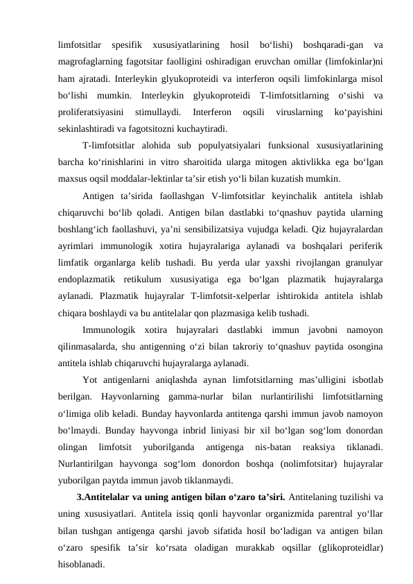 limfotsitlar  spesifik  xususiyatlarining  hosil  bo‘lishi)  boshqaradi-gan  va
magrofaglarning fagotsitar faolligini oshiradigan eruvchan omillar (limfokinlar)ni
ham ajratadi. Interleykin glyukoproteidi va interferon oqsili limfokinlarga misol
bo‘lishi  mumkin.  Interleykin  glyukoproteidi  T-limfotsitlarning  o‘sishi  va
proliferatsiyasini  stimullaydi.  Interferon  oqsili  viruslarning  ko‘payishini
sekinlashtiradi va fagotsitozni kuchaytiradi.
T-limfotsitlar  alohida  sub  populyatsiyalari  funksional  xususiyatlarining
barcha ko‘rinishlarini in vitro sharoitida ularga mitogen aktivlikka  ega bo‘lgan
maxsus oqsil moddalar-lektinlar ta’sir etish yo‘li bilan kuzatish mumkin.
Antigen  ta’sirida  faollashgan  V-limfotsitlar  keyinchalik  antitela  ishlab
chiqaruvchi bo‘lib qoladi. Antigen bilan dastlabki to‘qnashuv paytida ularning
boshlang‘ich faollashuvi, ya’ni sensibilizatsiya vujudga keladi. Qiz hujayralardan
ayrimlari  immunologik  xotira  hujayralariga  aylanadi  va  boshqalari  periferik
limfatik organlarga kelib tushadi.  Bu  yerda ular  yaxshi  rivojlangan granulyar
endoplazmatik  retikulum  xususiyatiga  ega  bo‘lgan  plazmatik  hujayralarga
aylanadi.  Plazmatik  hujayralar  T-limfotsit-xelperlar  ishtirokida  antitela  ishlab
chiqara boshlaydi va bu antitelalar qon plazmasiga kelib tushadi.
Immunologik  xotira  hujayralari  dastlabki  immun  javobni  namoyon
qilinmasalarda, shu antigenning o‘zi bilan takroriy to‘qnashuv paytida osongina
antitela ishlab chiqaruvchi hujayralarga aylanadi.
Yot  antigenlarni  aniqlashda  aynan  limfotsitlarning  mas’ulligini  isbotlab
berilgan.  Hayvonlarning  gamma-nurlar  bilan  nurlantirilishi  limfotsitlarning
o‘limiga olib keladi. Bunday hayvonlarda antitenga qarshi immun javob namoyon
bo‘lmaydi. Bunday hayvonga inbrid liniyasi bir xil bo‘lgan sog‘lom donordan
olingan  limfotsit  yuborilganda  antigenga  nis-batan  reaksiya  tiklanadi.
Nurlantirilgan  hayvonga  sog‘lom  donordon  boshqa  (nolimfotsitar)  hujayralar
yuborilgan paytda immun javob tiklanmaydi.
3.Antitelalar va uning antigen bilan o‘zaro ta’siri. Antitelaning tuzilishi va
uning xususiyatlari. Antitela issiq qonli hayvonlar organizmida parentral yo‘llar
bilan tushgan antigenga qarshi javob sifatida hosil bo‘ladigan va antigen bilan
o‘zaro  spesifik  ta’sir  ko‘rsata  oladigan  murakkab  oqsillar  (glikoproteidlar)
hisoblanadi.
