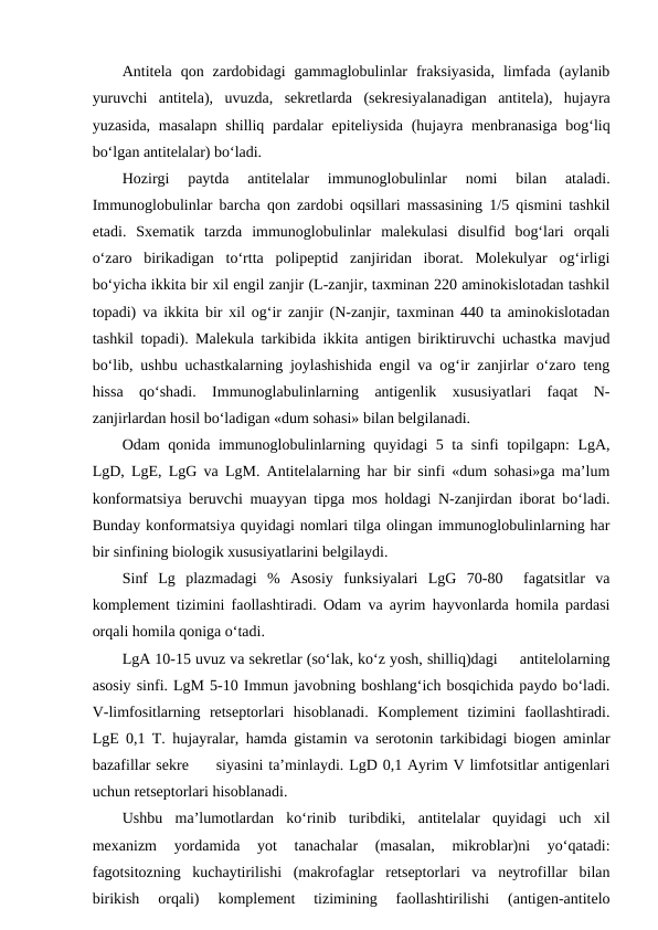Antitela  qon  zardobidagi  gammaglobulinlar  fraksiyasida,  limfada  (aylanib
yuruvchi  antitela),  uvuzda,  sekretlarda  (sekresiyalanadigan  antitela),  hujayra
yuzasida, masalapn  shilliq pardalar  epiteliysida (hujayra menbranasiga  bog‘liq
bo‘lgan antitelalar) bo‘ladi. 
Hozirgi  paytda  antitelalar  immunoglobulinlar  nomi  bilan  ataladi.
Immunoglobulinlar barcha qon zardobi oqsillari massasining 1/5 qismini tashkil
etadi. Sxematik  tarzda  immunoglobulinlar  malekulasi  disulfid  bog‘lari  orqali
o‘zaro  birikadigan  to‘rtta  polipeptid  zanjiridan  iborat.  Molekulyar  og‘irligi
bo‘yicha ikkita bir xil engil zanjir (L-zanjir, taxminan 220 aminokislotadan tashkil
topadi) va ikkita bir xil og‘ir zanjir (N-zanjir, taxminan 440 ta aminokislotadan
tashkil topadi). Malekula tarkibida ikkita antigen biriktiruvchi uchastka mavjud
bo‘lib, ushbu uchastkalarning joylashishida engil va og‘ir zanjirlar o‘zaro teng
hissa  qo‘shadi. Immunoglabulinlarning  antigenlik  xususiyatlari  faqat  N-
zanjirlardan hosil bo‘ladigan «dum sohasi» bilan belgilanadi.
Odam qonida immunoglobulinlarning quyidagi 5 ta sinfi topilgapn: LgA,
LgD, LgE, LgG va LgM. Antitelalarning har bir sinfi «dum sohasi»ga ma’lum
konformatsiya beruvchi muayyan tipga mos holdagi N-zanjirdan iborat bo‘ladi.
Bunday konformatsiya quyidagi nomlari tilga olingan immunoglobulinlarning har
bir sinfining biologik xususiyatlarini belgilaydi. 
Sinf  Lg  plazmadagi  %  Asosiy  funksiyalari  LgG  70-80   fagatsitlar  va
komplement tizimini faollashtiradi. Odam va ayrim hayvonlarda homila pardasi
orqali homila qoniga o‘tadi.
LgA 10-15 uvuz va sekretlar (so‘lak, ko‘z yosh, shilliq)dagi     antitelolarning
asosiy sinfi. LgM 5-10 Immun javobning boshlang‘ich bosqichida paydo bo‘ladi.
V-limfositlarning  retseptorlari  hisoblanadi.  Komplement  tizimini  faollashtiradi.
LgE 0,1 T. hujayralar, hamda gistamin va serotonin tarkibidagi biogen aminlar
bazafillar sekre     siyasini ta’minlaydi. LgD 0,1 Ayrim V limfotsitlar antigenlari
uchun retseptorlari hisoblanadi. 
Ushbu  ma’lumotlardan  ko‘rinib  turibdiki,  antitelalar  quyidagi  uch  xil
mexanizm  yordamida  yot  tanachalar  (masalan,  mikroblar)ni  yo‘qatadi:
fagotsitozning  kuchaytirilishi  (makrofaglar  retseptorlari  va  neytrofillar  bilan
birikish  orqali)  komplement  tizimining  faollashtirilishi  (antigen-antitelo

