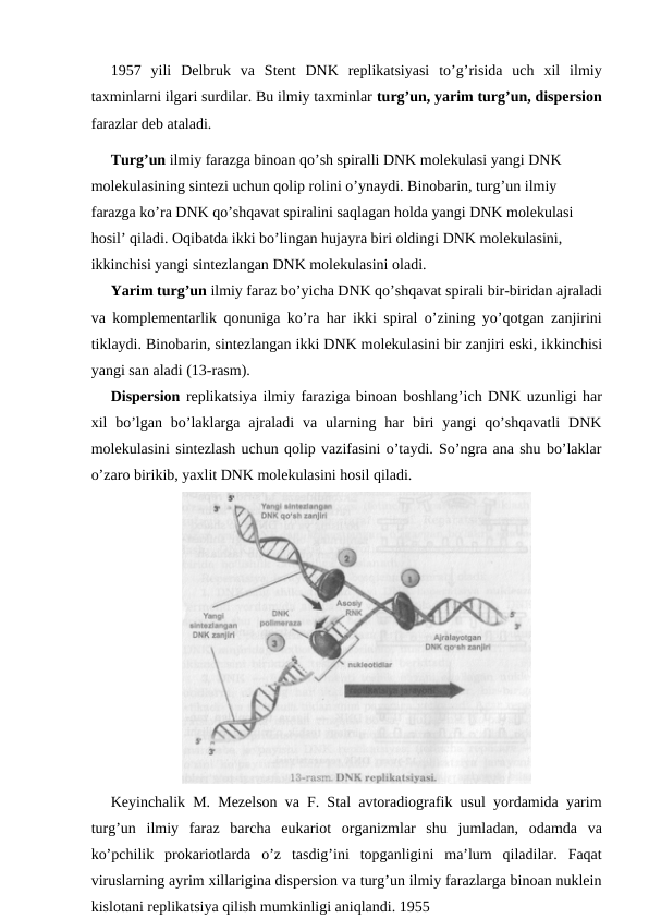 1957  yili  Delbruk  va  Stent  DNK  replikatsiyasi  to’g’risida  uch  xil  ilmiy
taxminlarni ilgari surdilar. Bu ilmiy taxminlar turg’un, yarim turg’un, dispersion
farazlar deb ataladi.
Turg’un ilmiy farazga binoan qo’sh spiralli DNK molekulasi yangi DNK 
molekulasining sintezi uchun qolip rolini o’ynaydi. Binobarin, turg’un ilmiy 
farazga ko’ra DNK qo’shqavat spiralini saqlagan holda yangi DNK molekulasi 
hosil’ qiladi. Oqibatda ikki bo’lingan hujayra biri oldingi DNK molekulasini, 
ikkinchisi yangi sintezlangan DNK molekulasini oladi.
Yarim turg’un ilmiy faraz bo’yicha DNK qo’shqavat spirali bir-biridan ajraladi
va komplementarlik qonuniga ko’ra har ikki spiral o’zining yo’qotgan zanjirini
tiklaydi. Binobarin, sintezlangan ikki DNK molekulasini bir zanjiri eski, ikkinchisi
yangi san aladi (13-rasm).
Dispersion replikatsiya ilmiy faraziga binoan boshlang’ich DNK uzunligi har
xil  bo’lgan  bo’laklarga ajraladi  va ularning  har  biri  yangi  qo’shqavatli  DNK
molekulasini sintezlash uchun qolip vazifasini o’taydi. So’ngra ana shu bo’laklar
o’zaro birikib, yaxlit DNK molekulasini hosil qiladi.
 
Keyinchalik M. Mezelson va F. Stal avtoradiografik usul yordamida yarim
turg’un  ilmiy  faraz  barcha  eukariot  organizmlar  shu  jumladan,  odamda  va
ko’pchilik  prokariotlarda  o’z  tasdig’ini  topganligini  ma’lum  qiladilar.  Faqat
viruslarning ayrim xillarigina dispersion va turg’un ilmiy farazlarga binoan nuklein
kislotani replikatsiya qilish mumkinligi aniqlandi. 1955
