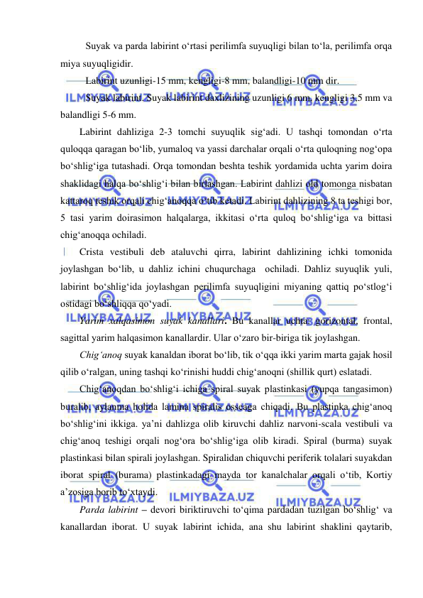  
 
Suyak va parda labirint o‘rtasi perilimfa suyuqligi bilan to‘la, perilimfa orqa 
miya suyuqligidir. 
Labirint uzunligi-15 mm, kengligi-8 mm, balandligi-10 mm dir. 
Suyak labirint. Suyak labirint daxlizining uzunligi 6 mm, kengligi 3,5 mm va 
balandligi 5-6 mm. 
Labirint dahliziga 2-3 tomchi suyuqlik sig‘adi. U tashqi tomondan o‘rta 
quloqqa qaragan bo‘lib, yumaloq va yassi darchalar orqali o‘rta quloqning nog‘opa 
bo‘shlig‘iga tutashadi. Orqa tomondan beshta teshik yordamida uchta yarim doira 
shaklidagi halqa bo‘shlig‘i bilan birlashgan. Labirint dahlizi old tomonga nisbatan 
kattaroq teshik orqali chig‘anoqqa o‘tib ketadi. Labirint dahlizining 8 ta teshigi bor, 
5 tasi yarim doirasimon halqalarga, ikkitasi o‘rta quloq bo‘shlig‘iga va bittasi 
chig‘anoqqa ochiladi. 
Crista vestibuli deb ataluvchi qirra, labirint dahlizining ichki tomonida 
joylashgan bo‘lib, u dahliz ichini chuqurchaga  ochiladi. Dahliz suyuqlik yuli, 
labirint bo‘shlig‘ida joylashgan perilimfa suyuqligini miyaning qattiq po‘stlog‘i 
ostidagi bo‘shliqqa qo‘yadi. 
Yarim xalqasimon suyak kanallari. Bu kanallar uchta: gorizontal, frontal, 
sagittal yarim halqasimon kanallardir. Ular o‘zaro bir-biriga tik joylashgan.  
Chig‘anoq suyak kanaldan iborat bo‘lib, tik o‘qqa ikki yarim marta gajak hosil 
qilib o‘ralgan, uning tashqi ko‘rinishi huddi chig‘anoqni (shillik qurt) eslatadi. 
Chig‘anoqdan bo‘shlig‘i ichiga spiral suyak plastinkasi (yupqa tangasimon) 
buralib, aylanma holida lamina spiralis osseaga chiqadi. Bu plastinka chig‘anoq 
bo‘shlig‘ini ikkiga. ya’ni dahlizga olib kiruvchi dahliz narvoni-scala vestibuli va 
chig‘anoq teshigi orqali nog‘ora bo‘shlig‘iga olib kiradi. Spiral (burma) suyak 
plastinkasi bilan spirali joylashgan. Spiralidan chiquvchi periferik tolalari suyakdan 
iborat spiral (burama) plastinkadagi mayda tor kanalchalar orqali o‘tib, Kortiy 
a’zosiga borib to‘xtaydi. 
Parda labirint – devori biriktiruvchi to‘qima pardadan tuzilgan bo‘shlig‘ va 
kanallardan iborat. U suyak labirint ichida, ana shu labirint shaklini qaytarib, 
