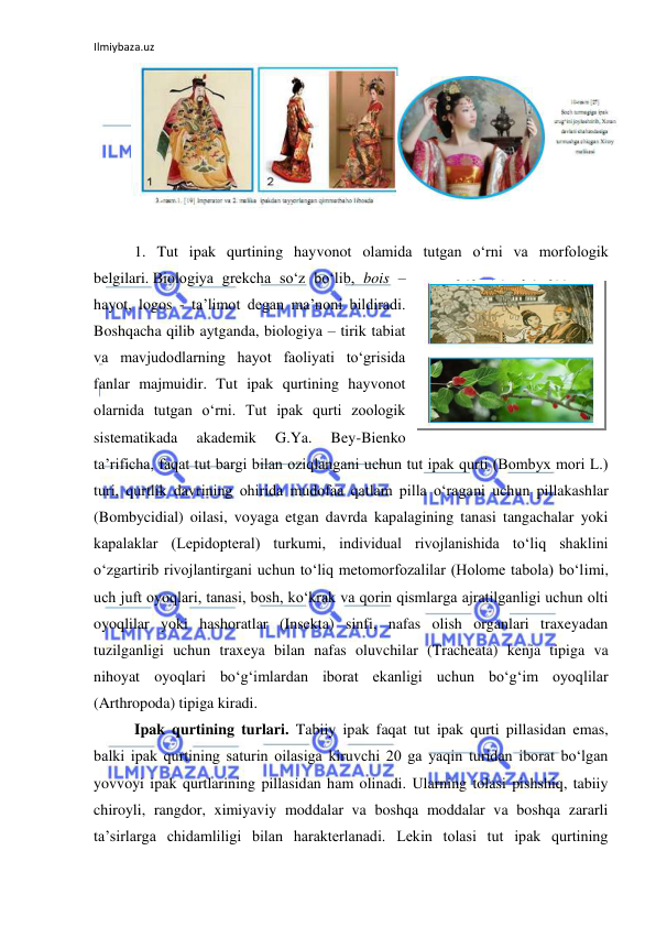 Ilmiybaza.uz 
 
 
 
1. Tut ipak qurtining hayvonot olamida tutgan o‘rni va morfologik 
belgilari. Biologiya grekcha so‘z bo‘lib, bois – 
hayot, logos - ta’limot degan ma’noni bildiradi. 
Boshqacha qilib aytganda, biologiya – tirik tabiat 
va mavjudodlarning hayot faoliyati to‘grisida 
fanlar majmuidir. Tut ipak qurtining hayvonot 
olarnida tutgan o‘rni. Tut ipak qurti zoologik 
sistematikada 
akademik 
G.Ya. 
Bey-Bienko 
ta’rificha, faqat tut bargi bilan oziqlangani uchun tut ipak qurti (Bombyx mori L.) 
turi, qurtlik davrining ohirida mudofaa qatlam pilla o‘ragani uchun pillakashlar 
(Bombycidial) oilasi, voyaga etgan davrda kapalagining tanasi tangachalar yoki 
kapalaklar (Lepidopteral) turkumi, individual rivojlanishida to‘liq shaklini 
o‘zgartirib rivojlantirgani uchun to‘liq metomorfozalilar (Holome tabola) bo‘limi, 
uch juft oyoqlari, tanasi, bosh, ko‘krak va qorin qismlarga ajratilganligi uchun olti 
oyoqlilar yoki hashoratlar (Insekta) sinfi, nafas olish organlari traxeyadan 
tuzilganligi uchun traxeya bilan nafas oluvchilar (Tracheata) kenja tipiga va 
nihoyat oyoqlari bo‘g‘imlardan iborat ekanligi uchun bo‘g‘im oyoqlilar 
(Arthropoda) tipiga kiradi. 
Ipak qurtining turlari. Tabiiy ipak faqat tut ipak qurti pillasidan emas, 
balki ipak qurtining saturin oilasiga kiruvchi 20 ga yaqin turidan iborat bo‘lgan 
yovvoyi ipak qurtlarining pillasidan ham olinadi. Ularning tolasi pishshiq, tabiiy 
chiroyli, rangdor, ximiyaviy moddalar va boshqa moddalar va boshqa zararli 
ta’sirlarga chidamliligi bilan harakterlanadi. Lekin tolasi tut ipak qurtining 
