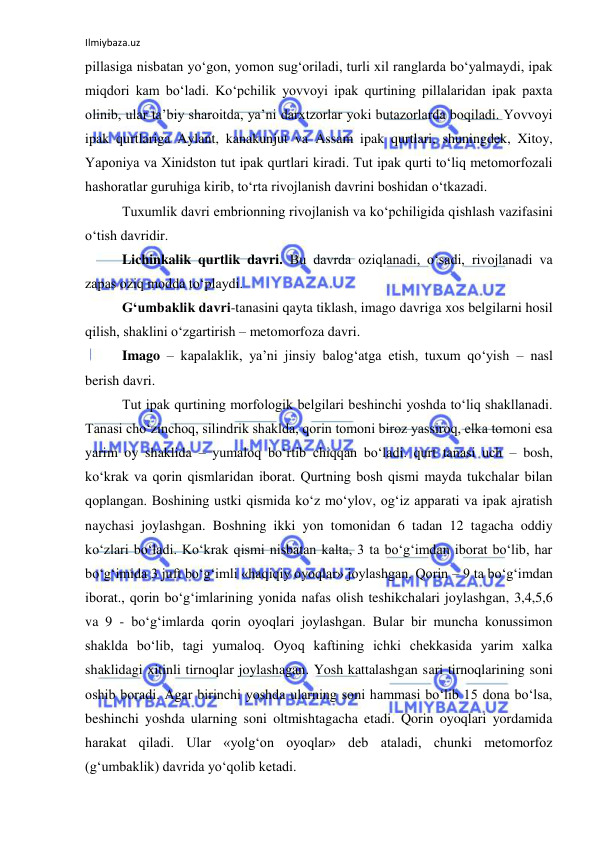 Ilmiybaza.uz 
 
pillasiga nisbatan yo‘gon, yomon sug‘oriladi, turli xil ranglarda bo‘yalmaydi, ipak 
miqdori kam bo‘ladi. Ko‘pchilik yovvoyi ipak qurtining pillalaridan ipak paxta 
olinib, ular ta’biy sharoitda, ya’ni darxtzorlar yoki butazorlarda boqiladi. Yovvoyi 
ipak qurtlariga Aylant, kanakunjut va Assam ipak qurtlari, shuningdek, Xitoy, 
Yaponiya va Xinidston tut ipak qurtlari kiradi. Tut ipak qurti to‘liq metomorfozali 
hashoratlar guruhiga kirib, to‘rta rivojlanish davrini boshidan o‘tkazadi. 
Tuxumlik davri embrionning rivojlanish va ko‘pchiligida qishlash vazifasini 
o‘tish davridir. 
Lichinkalik qurtlik davri. Bu davrda oziqlanadi, o‘sadi, rivojlanadi va 
zapas oziq modda to‘playdi. 
G‘umbaklik davri-tanasini qayta tiklash, imago davriga xos belgilarni hosil 
qilish, shaklini o‘zgartirish – metomorfoza davri. 
Imago – kapalaklik, ya’ni jinsiy balog‘atga etish, tuxum qo‘yish – nasl 
berish davri. 
Tut ipak qurtining morfologik belgilari beshinchi yoshda to‘liq shakllanadi. 
Tanasi cho‘zinchoq, silindrik shaklda, qorin tomoni biroz yassiroq, elka tomoni esa 
yarim oy shaklida – yumaloq bo‘rtib chiqqan bo‘ladi. qurt tanasi uch – bosh, 
ko‘krak va qorin qismlaridan iborat. Qurtning bosh qismi mayda tukchalar bilan 
qoplangan. Boshining ustki qismida ko‘z mo‘ylov, og‘iz apparati va ipak ajratish 
naychasi joylashgan. Boshning ikki yon tomonidan 6 tadan 12 tagacha oddiy 
ko‘zlari bo‘ladi. Ko‘krak qismi nisbatan kalta, 3 ta bo‘g‘imdan iborat bo‘lib, har 
bo‘g‘imida 3 juft bo‘g‘imli «haqiqiy oyoqlar» joylashgan. Qorin – 9 ta bo‘g‘imdan 
iborat., qorin bo‘g‘imlarining yonida nafas olish teshikchalari joylashgan, 3,4,5,6 
va 9 - bo‘g‘imlarda qorin oyoqlari joylashgan. Bular bir muncha konussimon 
shaklda bo‘lib, tagi yumaloq. Oyoq kaftining ichki chekkasida yarim xalka 
shaklidagi xitinli tirnoqlar joylashagan. Yosh kattalashgan sari tirnoqlarining soni 
oshib boradi. Agar birinchi yoshda ularning soni hammasi bo‘lib 15 dona bo‘lsa, 
beshinchi yoshda ularning soni oltmishtagacha etadi. Qorin oyoqlari yordamida 
harakat qiladi. Ular «yolg‘on oyoqlar» deb ataladi, chunki metomorfoz 
(g‘umbaklik) davrida yo‘qolib ketadi. 
