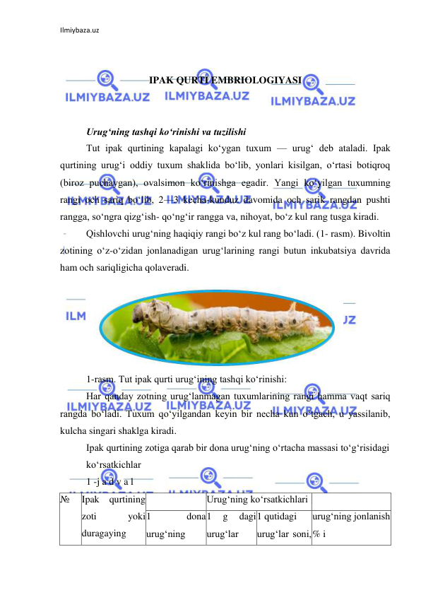 Ilmiybaza.uz 
 
 
 
IPAK QURTI EMBRIOLOGIYASI 
 
 
Urug‘ning tashqi ko‘rinishi va tuzilishi 
Tut ipak qurtining kapalagi ko‘ygan tuxum — urug‘ deb ataladi. Ipak 
qurtining urug‘i oddiy tuxum shaklida bo‘lib, yonlari kisilgan, o‘rtasi botiqroq 
(biroz puchaygan), ovalsimon ko‘rinishga egadir. Yangi ko‘yilgan tuxumning 
rangi och sariq bo‘lib, 2—3 kecha-kunduz davomida och sarik rangdan pushti 
rangga, so‘ngra qizg‘ish- qo‘ng‘ir rangga va, nihoyat, bo‘z kul rang tusga kiradi. 
Qishlovchi urug‘ning haqiqiy rangi bo‘z kul rang bo‘ladi. (1- rasm). Bivoltin 
zotining o‘z-o‘zidan jonlanadigan urug‘larining rangi butun inkubatsiya davrida 
ham och sariqligicha qolaveradi. 
 
1-rasm. Tut ipak qurti urug‘ining tashqi ko‘rinishi: 
Har qanday zotning urug‘lanmagan tuxumlarining rangi hamma vaqt sariq 
rangda bo‘ladi. Tuxum qo‘yilgandan keyin bir necha kun o‘tgach, u yassilanib, 
kulcha singari shaklga kiradi. 
Ipak qurtining zotiga qarab bir dona urug‘ning o‘rtacha massasi to‘g‘risidagi 
ko‘rsatkichlar 
1 -j a d v a l 
№ 
Ipak qurtining 
zoti 
yoki 
duragaying 
 
Urug‘ning ko‘rsatkichlari  
1 
dona 
urug‘ning 
1 
g 
dagi 
urug‘lar 
1 qutidagi 
urug‘lar soni, 
urug‘ning jonlanish 
% i 
