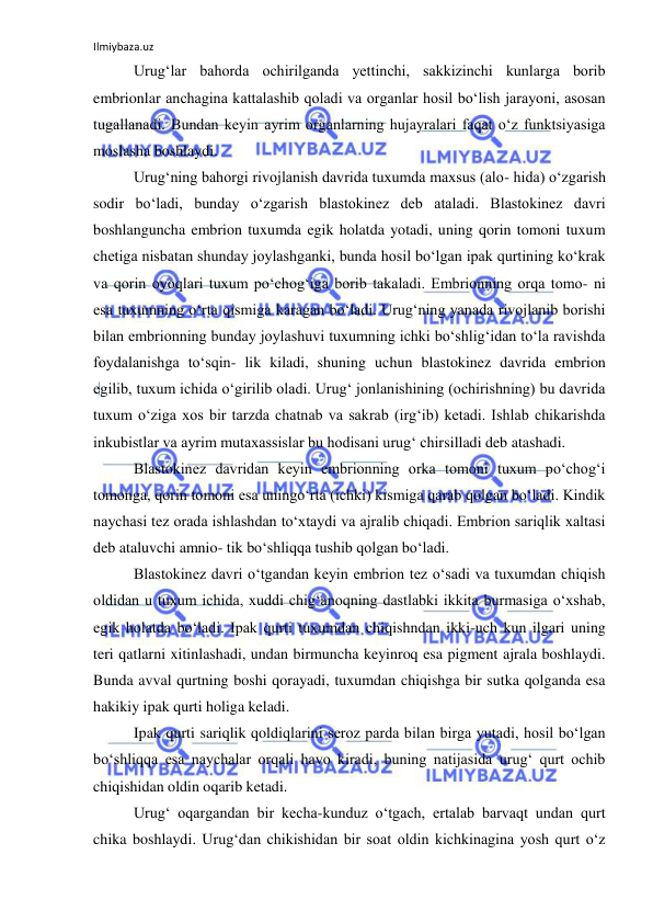 Ilmiybaza.uz 
 
Urug‘lar bahorda ochirilganda yettinchi, sakkizinchi kunlarga borib 
embrionlar anchagina kattalashib qoladi va organlar hosil bo‘lish jarayoni, asosan 
tugallanadi. Bundan keyin ayrim organlarning hujayralari faqat o‘z funktsiyasiga 
moslasha boshlaydi. 
Urug‘ning bahorgi rivojlanish davrida tuxumda maxsus (alo- hida) o‘zgarish 
sodir bo‘ladi, bunday o‘zgarish blastokinez deb ataladi. Blastokinez davri 
boshlanguncha embrion tuxumda egik holatda yotadi, uning qorin tomoni tuxum 
chetiga nisbatan shunday joylashganki, bunda hosil bo‘lgan ipak qurtining ko‘krak 
va qorin oyoqlari tuxum po‘chog‘iga borib takaladi. Embrionning orqa tomo- ni 
esa tuxumning o‘rta qismiga karagan bo‘ladi. Urug‘ning yanada rivojlanib borishi 
bilan embrionning bunday joylashuvi tuxumning ichki bo‘shlig‘idan to‘la ravishda 
foydalanishga to‘sqin- lik kiladi, shuning uchun blastokinez davrida embrion 
egilib, tuxum ichida o‘girilib oladi. Urug‘ jonlanishining (ochirishning) bu davrida 
tuxum o‘ziga xos bir tarzda chatnab va sakrab (irg‘ib) ketadi. Ishlab chikarishda 
inkubistlar va ayrim mutaxassislar bu hodisani urug‘ chirsilladi deb atashadi. 
Blastokinez davridan keyin embrionning orka tomoni tuxum po‘chog‘i 
tomonga, qorin tomoni esa uningo‘rta (ichki) kismiga qarab qolgan bo‘ladi. Kindik 
naychasi tez orada ishlashdan to‘xtaydi va ajralib chiqadi. Embrion sariqlik xaltasi 
deb ataluvchi amnio- tik bo‘shliqqa tushib qolgan bo‘ladi. 
Blastokinez davri o‘tgandan keyin embrion tez o‘sadi va tuxumdan chiqish 
oldidan u tuxum ichida, xuddi chig‘anoqning dastlabki ikkita burmasiga o‘xshab, 
egik holatda bo‘ladi. Ipak qurti tuxumdan chiqishndan ikki-uch kun ilgari uning 
teri qatlarni xitinlashadi, undan birmuncha keyinroq esa pigment ajrala boshlaydi. 
Bunda avval qurtning boshi qorayadi, tuxumdan chiqishga bir sutka qolganda esa 
hakikiy ipak qurti holiga keladi. 
Ipak qurti sariqlik qoldiqlarini seroz parda bilan birga yutadi, hosil bo‘lgan 
bo‘shliqqa esa naychalar orqali havo kiradi, buning natijasida urug‘ qurt ochib 
chiqishidan oldin oqarib ketadi. 
Urug‘ oqargandan bir kecha-kunduz o‘tgach, ertalab barvaqt undan qurt 
chika boshlaydi. Urug‘dan chikishidan bir soat oldin kichkinagina yosh qurt o‘z 
