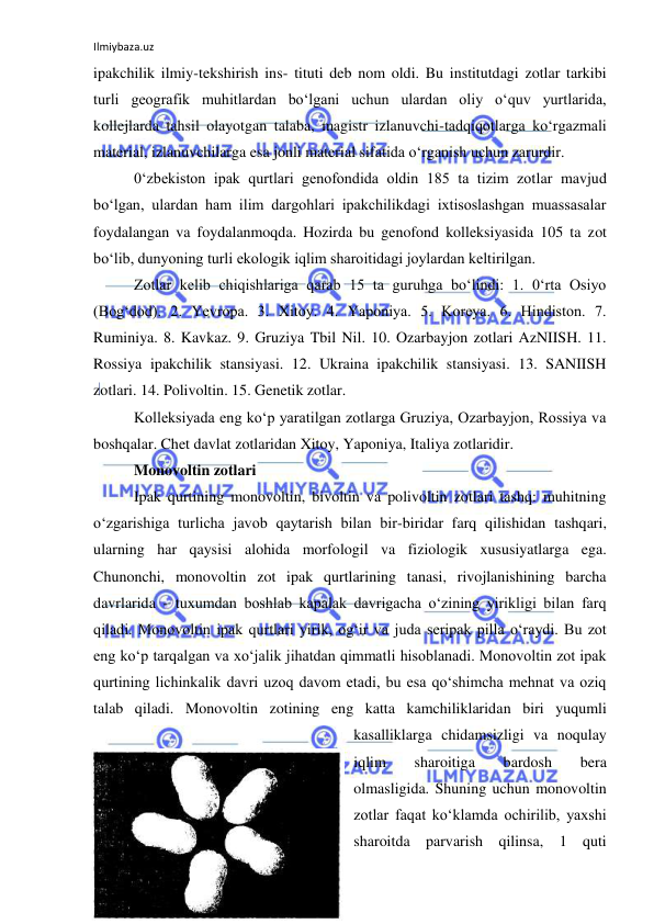 Ilmiybaza.uz 
 
ipakchilik ilmiy-tekshirish ins- tituti deb nom oldi. Bu institutdagi zotlar tarkibi 
turli geografik muhitlardan bo‘lgani uchun ulardan oliy o‘quv yurtlarida, 
kollejlarda tahsil olayotgan talaba, magistr izlanuvchi-tadqiqotlarga ko‘rgazmali 
material, izlanuvchilarga esa jonli material sifatida o‘rganish uchun zarurdir. 
0‘zbekiston ipak qurtlari genofondida oldin 185 ta tizim zotlar mavjud 
bo‘lgan, ulardan ham ilim dargohlari ipakchilikdagi ixtisoslashgan muassasalar 
foydalangan va foydalanmoqda. Hozirda bu genofond kolleksiyasida 105 ta zot 
bo‘lib, dunyoning turli ekologik iqlim sharoitidagi joylardan keltirilgan. 
Zotlar kelib chiqishlariga qarab 15 ta guruhga bo‘lindi: 1. 0‘rta Osiyo 
(Bog‘dod). 2. Yevropa. 3. Xitoy. 4. Yaponiya. 5. Koreya. 6. Hindiston. 7. 
Ruminiya. 8. Kavkaz. 9. Gruziya Tbil Nil. 10. Ozarbayjon zotlari AzNIISH. 11. 
Rossiya ipakchilik stansiyasi. 12. Ukraina ipakchilik stansiyasi. 13. SANIISH 
zotlari. 14. Polivoltin. 15. Genetik zotlar. 
Kolleksiyada eng ko‘p yaratilgan zotlarga Gruziya, Ozarbayjon, Rossiya va 
boshqalar. Chet davlat zotlaridan Xitoy, Yaponiya, Italiya zotlaridir. 
Monovoltin zotlari 
Ipak qurtining monovoltin, bivoltin va polivoltin zotlari tashq: muhitning 
o‘zgarishiga turlicha javob qaytarish bilan bir-biridar farq qilishidan tashqari, 
ularning har qaysisi alohida morfologil va fiziologik xususiyatlarga ega. 
Chunonchi, monovoltin zot ipak qurtlarining tanasi, rivojlanishining barcha 
davrlarida - tuxumdan boshlab kapalak davrigacha o‘zining yirikligi bilan farq 
qiladi. Monovoltin ipak qurtlari yirik, og‘ir va juda seripak pilla o‘raydi. Bu zot 
eng ko‘p tarqalgan va xo‘jalik jihatdan qimmatli hisoblanadi. Monovoltin zot ipak 
qurtining lichinkalik davri uzoq davom etadi, bu esa qo‘shimcha mehnat va oziq 
talab qiladi. Monovoltin zotining eng katta kamchiliklaridan biri yuqumli 
kasalliklarga chidamsizligi va noqulay 
iqlim 
sharoitiga 
bardosh 
bera 
olmasligida. Shuning uchun monovoltin 
zotlar faqat ko‘klamda ochirilib, yaxshi 
sharoitda parvarish qilinsa, 1 quti 
