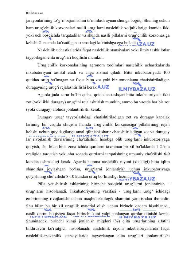 Ilmiybaza.uz 
 
jarayonlarining to‘g‘ri bajarilishini ta'minlash aynan shunga bogiiq. Shuning uchun 
ham urug‘chiiik korxonalari naslli urug‘larni naslchilik xo‘jaliklariga kamida ikki 
yoki uch bosqichda tarqatadilar va shunda naslli pillalarni urug‘chilik korxonasiga 
kelishi 2- rasmda ko'rsatilgan sxemadagi ko'rinishga ega bo'ladi. 
Naslchilik uchastkalarida faqat naslchilik stansiyalari yoki ilmiy tashkilotlar 
tayyorlagan elita urug‘lari boqilishi mumkin. 
Urug‘chilik korxonalarining agronom xodimlari naslchilik uchastkalarida 
inkubatoriyani tashkil etadi va unga xizmat qiladi. Bitta inkubatoriyada 100 
qutidan ortiq bo'lmagan va faqat bitta zot yoki bir tomonlama chatishtiriladigan 
duragayning urug‘i rejalashtirilishi kerak. 
Agarda juda zarur bo'lib qolsa, qoidadan tashqari bitta inkubatoriyada ikki 
zot (yoki ikki duragay) urug‘ini rejalashtirish mumkin, ammo bu vaqtda har bir zot 
(yoki duragay) alohida jonlantirilishi kerak. 
Duragay urug‘ tayyorlashdagi chatishtiriladigan zot va duragay kapalak 
larining bir vaqtda chiqishi hamda urug‘chilik korxonasiga pillalarning rejali 
kelishi uchun quyidagilarga amal qilinishi shart: chatishtiriladigan zot va duragay 
lar rivojlanish davrlarining cho'zilishini hisobga olib urug‘larni inkubatoriyaga 
qo‘yish, shu bilan bitta zona ichida qurtlarni taxminan bir xil bo'laklarda 1-2 kun 
oraligida tarqatish yoki shu zonada qurtlarni tarqatishning umumiy cho'zilishi 6-9 
kundan oshmasligi kerak. Agarda hamma naslchilik rayoni (xo'jaligi) bitta iqlim 
sharoitiga joylashgan bo‘lsa, urug‘larni jonlantirish uchun inkubatoriyaga 
qo'yishning cho‘zilishi 8-10 kundan ortiq bo‘lmasligi lozim. 
Pilla yetishtirish ishlarining birinchi bosqichi urug‘larni jonlantirish – 
urug‘larni hisoblanadi. Inkubatoriyaning vazifasi - urug‘larni urug‘ ichidagi 
embrionning rivojlanishi uchun maqbul ekologik sharoitni yaratishdan iboratdir. 
Shu bilan bu bir xil urug‘lik material olish uchun birinchi qadam hisoblanadi, 
naslli qnrtni boqishga faqat birinchi kuni yalpi jonlangan qurtlar olinishi kerak. 
Shuningdck. birinchi kungi jonlanish miqdori (%) elita urug‘larining sifatini 
bildiruvchi ko'rsatgich hisoblanadi, naslchilik rayoni inkubatoriyaiarida faqat 
naslchilik-ipakchilik stansiyalarida tayyorlangan elita urug‘lari jonlantirilishi 
