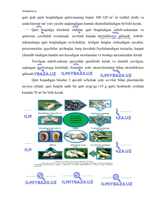 Ilmiybaza.uz 
 
quti ipak qurti boqiladigan qurtxonaning hajmi 100-120 m3 ni tashkil etishi va 
unda harorat me’yori yaxshi saqlanadigan hamda shamollatiladigan bo'lishi kerak. 
Qurt boqishga kirishish oldidan qurt boqiladigan asbob-uskunalar va 
qurtxona yaxshilab tozalanadi, yuviladi hamda dezinfeksiya qilinadi. Asbob- 
uskunalarga qurt boqiladigan so‘kchaklar, terilgan barglar solinadigan savatlar, 
psixrometrlar, qaychilar, pichoqlar, barg kesishda foydalanadigan taxtacha, bargni 
chimdib oladigan hamda uni kesadigan moslamalar va boshqa mexanizmlar kiradi. 
Yuvilgan asbob-uskuna quyoshda quritilishi kerak va dastlab yuvilgan, 
oqlangan qurtxonaga kiritiladi, formalin yoki monoxlorarnin bilan dezinfeksiya 
qilinadi. 
Qurt boqadigan binolar 3 qavatli so'kchak yoki so’rilar bilan jihozlanishi 
tavsiya etiladi, qurt boqish sathi bir quti urug‘ga (19 g qurt) beshinchi yoshida 
kamida 70 m2 bo‘lishi kerak.  
 
 
