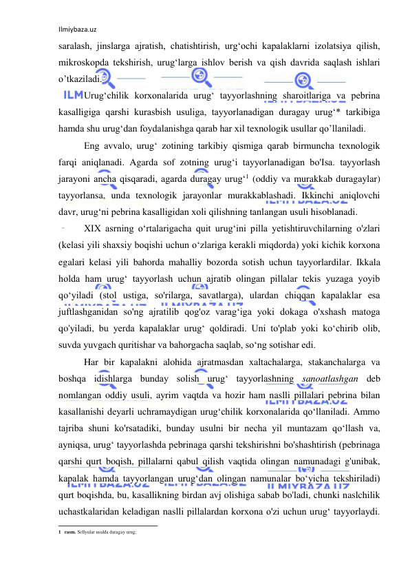 Ilmiybaza.uz 
 
saralash, jinslarga ajratish, chatishtirish, urg‘ochi kapalaklarni izolatsiya qilish, 
mikroskopda tekshirish, urug‘larga ishlov berish va qish davrida saqlash ishlari 
o’tkaziladi. 
Urug‘chilik korxonalarida urug‘ tayyorlashning sharoitlariga va pebrina 
kasalligiga qarshi kurasbish usuliga, tayyorlanadigan duragay urug‘* tarkibiga 
hamda shu urug‘dan foydalanishga qarab har xil texnologik usullar qo’llaniladi. 
Eng avvalo, urug‘ zotining tarkibiy qismiga qarab birmuncha texnologik 
farqi aniqlanadi. Agarda sof zotning urug‘i tayyorlanadigan bo'Isa. tayyorlash 
jarayoni ancha qisqaradi, agarda duragay urug‘1 (oddiy va murakkab duragaylar) 
tayyorlansa, unda texnologik jarayonlar murakkablashadi. Ikkinchi aniqlovchi 
davr, urug‘ni pebrina kasalligidan xoli qilishning tanlangan usuli hisoblanadi. 
XIX asrning o‘rtalarigacha quit urug‘ini pilla yetishtiruvchilarning o'zlari 
(kelasi yili shaxsiy boqishi uchun o‘zlariga kerakli miqdorda) yoki kichik korxona 
egalari kelasi yili bahorda mahalliy bozorda sotish uchun tayyorlardilar. Ikkala 
holda ham urug‘ tayyorlash uchun ajratib olingan pillalar tekis yuzaga yoyib 
qo‘yiladi (stol ustiga, so'rilarga, savatlarga), ulardan chiqqan kapalaklar esa 
juftlashganidan so'ng ajratilib qog'oz varag‘iga yoki dokaga o'xshash matoga 
qo'yiladi, bu yerda kapalaklar urug‘ qoldiradi. Uni to'plab yoki ko‘chirib olib, 
suvda yuvgach quritishar va bahorgacha saqlab, so‘ng sotishar edi. 
Har bir kapalakni alohida ajratmasdan xaltachalarga, stakanchalarga va 
boshqa idishlarga bunday solish urug‘ tayyorlashning sanoatlashgan deb 
nomlangan oddiy usuli, ayrim vaqtda va hozir ham naslli pillalari pebrina bilan 
kasallanishi deyarli uchramaydigan urug‘chilik korxonalarida qo‘llaniladi. Ammo 
tajriba shuni ko'rsatadiki, bunday usulni bir necha yil muntazam qo‘llash va, 
ayniqsa, urug‘ tayyorlashda pebrinaga qarshi tekshirishni bo'shashtirish (pebrinaga 
qarshi qurt boqish, pillalarni qabul qilish vaqtida olingan namunadagi g'unibak, 
kapalak hamda tayyorlangan urug‘dan olingan namunalar bo‘yicha tekshiriladi) 
qurt boqishda, bu, kasallikning birdan avj olishiga sabab bo'ladi, chunki naslchilik 
uchastkalaridan keladigan naslli pillalardan korxona o'zi uchun urug‘ tayyorlaydi. 
                                                           
1 rasm. Sellyular usulda duragay urug; 
