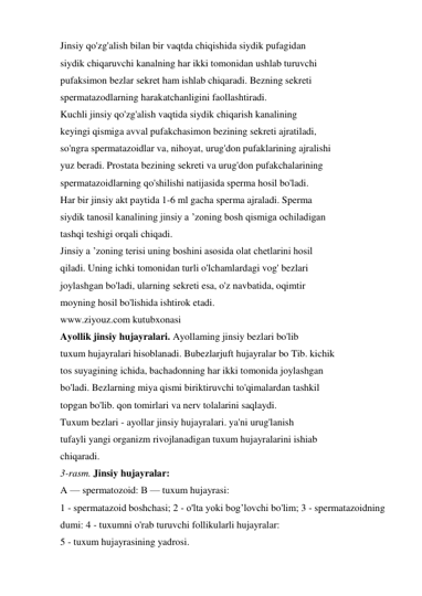 Jinsiy qo'zg'alish bilan bir vaqtda chiqishida siydik pufagidan 
siydik chiqaruvchi kanalning har ikki tomonidan ushlab turuvchi 
pufaksimon bezlar sekret ham ishlab chiqaradi. Bezning sekreti 
spermatazodlarning harakatchanligini faollashtiradi. 
Kuchli jinsiy qo'zg'alish vaqtida siydik chiqarish kanalining 
keyingi qismiga avval pufakchasimon bezining sekreti ajratiladi, 
so'ngra spermatazoidlar va, nihoyat, urug'don pufaklarining ajralishi 
yuz beradi. Prostata bezining sekreti va urug'don pufakchalarining 
spermatazoidlarning qo'shilishi natijasida sperma hosil bo'ladi. 
Har bir jinsiy akt paytida 1-6 ml gacha sperma ajraladi. Sperma 
siydik tanosil kanalining jinsiy a ’zoning bosh qismiga ochiladigan 
tashqi teshigi orqali chiqadi. 
Jinsiy a ’zoning terisi uning boshini asosida olat chetlarini hosil 
qiladi. Uning ichki tomonidan turli o'lchamlardagi vog' bezlari 
joylashgan bo'ladi, ularning sekreti esa, o'z navbatida, oqimtir 
moyning hosil bo'lishida ishtirok etadi. 
www.ziyouz.com kutubxonasi 
Ayollik jinsiy hujayralari. Ayollaming jinsiy bezlari bo'lib 
tuxum hujayralari hisoblanadi. Bubezlarjuft hujayralar bo Tib. kichik 
tos suyagining ichida, bachadonning har ikki tomonida joylashgan 
bo'ladi. Bezlarning miya qismi biriktiruvchi to'qimalardan tashkil 
topgan bo'lib. qon tomirlari va nerv tolalarini saqlaydi. 
Tuxum bezlari - ayollar jinsiy hujayralari. ya'ni urug'lanish 
tufayli yangi organizm rivojlanadigan tuxum hujayralarini ishiab 
chiqaradi. 
3-rasm. Jinsiy hujayralar: 
A — spermatozoid: В — tuxum hujayrasi: 
1 - spermatazoid boshchasi; 2 - o'lta yoki bog’lovchi bo'lim; 3 - spermatazoidning 
dumi: 4 - tuxumni o'rab turuvchi follikularli hujayralar: 
5 - tuxum hujayrasining yadrosi. 
