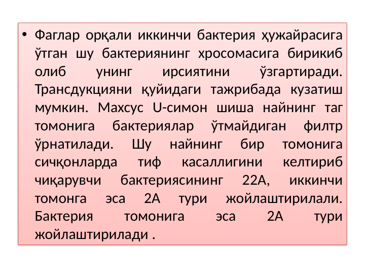 • Фаглар орқали иккинчи бактерия ҳужайрасига 
ўтган шу бактериянинг хросомасига бирикиб 
олиб 
унинг 
ирсиятини 
ўзгартиради. 
Трансдукцияни қуйидаги тажрибада кузатиш 
мумкин. Махсус U-симон шиша найнинг таг 
томонига 
бактериялар 
ўтмайдиган 
филтр 
ўрнатилади. 
Шу 
найнинг 
бир 
томонига 
сичқонларда 
тиф 
касаллигини 
келтириб 
чиқарувчи 
бактериясининг 
22А, 
иккинчи 
томонга 
эса 
2А 
тури 
жойлаштирилали. 
Бактерия 
томонига 
эса 
2А 
тури 
жойлаштирилади .
