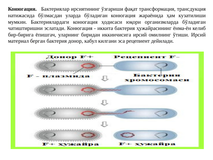 Конюгация.   Бактериялар ирсиятининг ўзгариши фақат трансформация, трансдукция 
натижасида бўлмасдан уларда бўладиган конюгация жараёнида ҳам кузатилиши 
мумкин. Бактериялардаги конюгация ҳодисаси юқори организмларда бўладиган 
чатиштиришни эслатади. Конюгация - иккита бактерия ҳужайрасининг ёнма-ён келиб 
бир-бирига ёпишгач, уларнинг биридан иккинчисига ирсий омилнинг ўтиши. Ирсий 
материал берган бактерия донор, кабул килгани эса рецепиент дейилади.   
