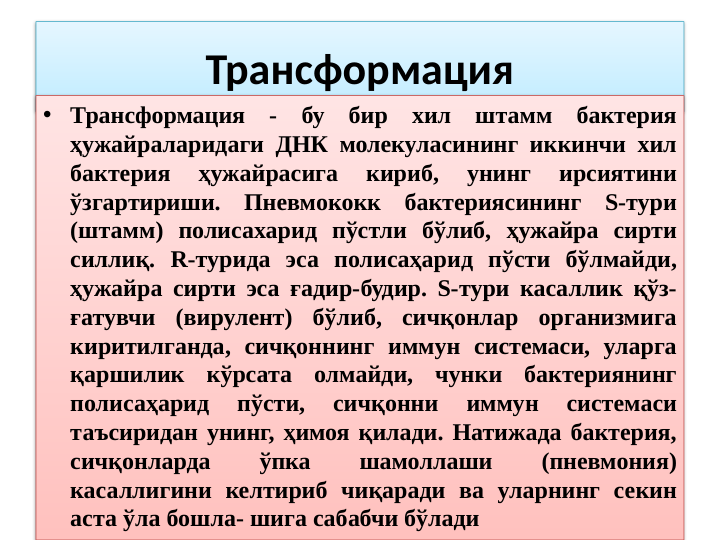 Трансформация
• Трансформация - бу бир хил штамм бактерия 
ҳужайраларидаги ДНК молекуласининг иккинчи хил 
бактерия 
ҳужайрасига 
кириб, 
унинг 
ирсиятини 
ўзгартириши. Пневмококк бактериясининг S-тури 
(штамм) полисахарид пўстли бўлиб, ҳужайра сирти 
силлиқ. R-турида эса полисаҳарид пўсти бўлмайди, 
ҳужайра сирти эса ғадир-будир. S-тури касаллик қўз- 
ғатувчи (вирулент) бўлиб, сичқонлар организмига 
киритилганда, сичқоннинг иммун системаси, уларга 
қаршилик кўрсата олмайди, чунки бактериянинг 
полисаҳарид 
пўсти, 
сичқонни 
иммун 
системаси 
таъсиридан унинг, ҳимоя қилади. Натижада бактерия, 
сичқонларда 
ўпка 
шамоллаши 
(пневмония) 
касаллигини келтириб чиқаради ва уларнинг секин 
аста ўла бошла- шига сабабчи бўлади
