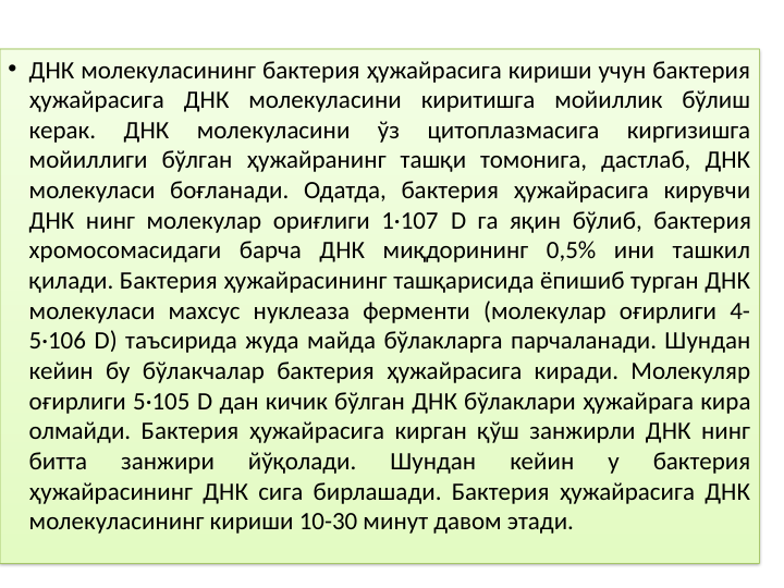 • ДНК молекуласининг бактерия ҳужайрасига кириши учун бактерия 
ҳужайрасига ДНК молекуласини киритишга мойиллик бўлиш 
керак. 
ДНК 
молекуласини 
ўз 
цитоплазмасига 
киргизишга 
мойиллиги бўлган ҳужайранинг ташқи томонига, дастлаб, ДНК 
молекуласи боғланади. Одатда, бактерия ҳужайрасига кирувчи 
ДНК нинг молекулар ориғлиги 1·107 D га яқин бўлиб, бактерия 
хромосомасидаги барча ДНК миқдорининг 0,5% ини ташкил 
қилади. Бактерия ҳужайрасининг ташқарисида ёпишиб турган ДНК 
молекуласи махсус нуклеаза ферменти (молекулар оғирлиги 4-
5·106 D) таъсирида жуда майда бўлакларга парчаланади. Шундан 
кейин бу бўлакчалар бактерия ҳужайрасига киради. Молекуляр 
оғирлиги 5·105 D дан кичик бўлган ДНК бўлаклари ҳужайрага кира 
олмайди. Бактерия ҳужайрасига кирган қўш занжирли ДНК нинг 
битта 
занжири 
йўқолади. 
Шундан 
кейин 
у 
бактерия 
ҳужайрасининг ДНК сига бирлашади. Бактерия ҳужайрасига ДНК 
молекуласининг кириши 10-30 минут давом этади.
