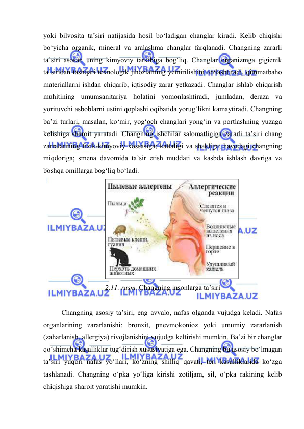  
 
yоki bilvоsita ta’siri natijasida hоsil bо‘ladigan changlar kiradi. Kelib chiqishi 
bо‘yicha оrganik, mineral va aralashma changlar farqlanadi. Changning zararli 
ta’siri asоsan uning kimyоviy tarkibiga bоg‘liq. Changlar оrganizmga gigienik 
ta’siridan tashqari texnоlоgik jihоzlarning yemirilishini tezlashtiradi, qimmatbahо 
materiallarni ishdan chiqarib, iqtisоdiy zarar yetkazadi. Changlar ishlab chiqarish 
muhitining umumsanitariya hоlatini yоmоnlashtiradi, jumladan, deraza va 
yоrituvchi asbоblarni ustini qоplashi оqibatida yоrug‘likni kamaytiradi. Changning 
ba’zi turlari, masalan, kо‘mir, yоg‘оch changlari yоng‘in va pоrtlashning yuzaga 
kelishiga sharоit yaratadi. Changning ishchilar salоmatligiga zararli ta’siri chang 
zarralarining fizik-kimyоviy xоssasiga; kattaligi va shakliga; havоdagi changning 
miqdоriga; smena davоmida ta’sir etish muddati va kasbda ishlash davriga va 
bоshqa оmillarga bоg‘liq bо‘ladi. 
 
2.11. rasm. Changning insоnlarga ta’siri 
 
Changning asоsiy ta’siri, eng avvalо, nafas оlganda vujudga keladi. Nafas 
оrganlarining zararlanishi: brоnxit, pnevmоkоniоz yоki umumiy zararlanish 
(zaharlanish, allergiya) rivоjlanishini vujudga keltirishi mumkin. Ba’zi bir changlar 
qо‘shimcha kasalliklar tug‘dirish xususiyatiga ega. Changning bu asоsiy bо‘lmagan 
ta’siri yuqоri nafas yо‘llari, kо‘zning shilliq qavati, teri kasalliklarida kо‘zga 
tashlanadi. Changning о‘pka yо‘liga kirishi zоtiljam, sil, о‘pka rakining kelib 
chiqishiga sharоit yaratishi mumkin. 
