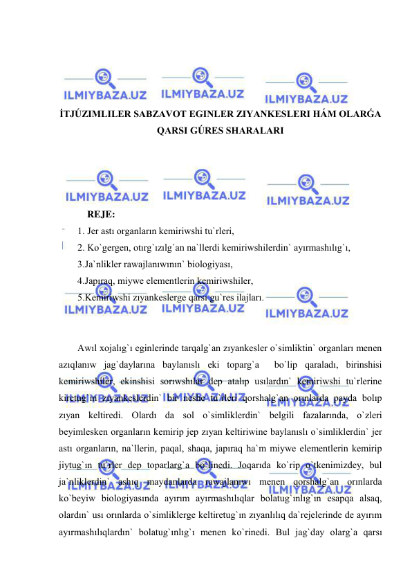  
 
 
 
 
 
İTJÚZIMLILER SABZAVOT EGINLER ZIYANKESLERI HÁM OLARǴA 
QARSI GÚRES SHARALARI 
 
 
 
 
    REJE: 
1. Jer astı organların kemiriwshi tu`rleri, 
2. Ko`gergen, otırg`ızılg`an na`llerdi kemiriwshilerdin` ayırmashılıg`ı,  
3.Ja`nlikler rawajlanıwının` biologiyası, 
4.Japıraq, miywe elementlerin kemiriwshiler, 
5.Kemiriwshi zıyankeslerge qarsı gu`res ilajları. 
 
 
Awıl xojalıg`ı eginlerinde tarqalg`an zıyankesler o`simliktin` organları menen 
azıqlanıw jag`daylarına baylanıslı eki toparg`a  bo`lip qaraladı, birinshisi 
kemiriwshiler, ekinshisi sorıwshılar dep atalıp usılardın` kemiriwshi tu`rlerine 
kiretug`ın zıyankeslerdin` bir neshe tu`rleri qorshalg`an orınlarda payda bolıp 
zıyan keltiredi. Olardı da sol o`simliklerdin` belgili fazalarında, o`zleri 
beyimlesken organların kemirip jep zıyan keltiriwine baylanıslı o`simliklerdin` jer 
astı organların, na`llerin, paqal, shaqa, japıraq ha`m miywe elementlerin kemirip 
jiytug`ın tu`rler dep toparlarg`a bo`linedi. Joqarıda ko`rip o`tkenimizdey, bul 
ja`nliklerdin` ashıq maydanlarda rawajlanıwı menen qorshalg`an orınlarda 
ko`beyiw biologiyasında ayırım ayırmashılıqlar bolatug`ınlıg`ın esapqa alsaq, 
olardın` usı orınlarda o`simliklerge keltiretug`ın zıyanlılıq da`rejelerinde de ayırım 
ayırmashılıqlardın` bolatug`ınlıg`ı menen ko`rinedi. Bul jag`day olarg`a qarsı 
