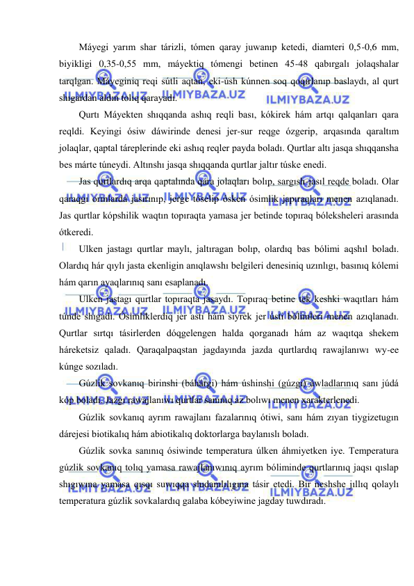  
 
Máyegi yarım shar tárizli, tómen qaray juwanıp ketedi, diamteri 0,5-0,6 mm, 
biyikligi 0,35-0,55 mm, máyektiq tómengi betinen 45-48 qabırgalı jolaqshalar 
tarqlgan. Máyeginiq reqi sútli aqtan, eki-úsh kúnnen soq qoqırlanıp baslaydı, al qurt 
shıgardan aldın tolıq qarayadı. 
Qurtı Máyekten shıqqanda ashıq reqli bası, kókirek hám artqı qalqanları qara 
reqldi. Keyingi ósiw dáwirinde denesi jer-sur reqge ózgerip, arqasında qaraltım 
jolaqlar, qaptal táreplerinde eki ashıq reqler payda boladı. Qurtlar altı jasqa shıqqansha 
bes márte túneydi. Altınshı jasqa shıqqanda qurtlar jaltır túske enedi. 
Jas qurtlardıq arqa qaptalında qara jolaqları bolıp, sargısh-jasıl reqde boladı. Olar 
qaraqgı orınlarda jasırınıp, jerge tóselip ósken ósimlik japıraqları menen azıqlanadı. 
Jas qurtlar kópshilik waqtın topıraqta yamasa jer betinde topıraq bóleksheleri arasında 
ótkeredi. 
Ulken jastagı qurtlar maylı, jaltıragan bolıp, olardıq bas bólimi aqshıl boladı. 
Olardıq hár qıylı jasta ekenligin anıqlawshı belgileri denesiniq uzınlıgı, basınıq kólemi 
hám qarın ayaqlarınıq sanı esaplanadı. 
Ulken jastagı qurtlar topıraqta jasaydı. Topıraq betine tek keshki waqıtları hám 
túnde shıgadı. Ósimliklerdiq jer astı hám siyrek jer ústi bólimleri menen azıqlanadı. 
Qurtlar sırtqı tásirlerden dóqgelengen halda qorganadı hám az waqıtqa shekem 
háreketsiz qaladı. Qaraqalpaqstan jagdayında jazda qurtlardıq rawajlanıwı wy-ee 
kúnge sozıladı. 
Gúzlik sovkanıq birinshi (báhárgi) hám úshinshi (gúzgi) áwladlarınıq sanı júdá 
kóp boladı. Jazgı rawajlanıwı qurtlar sanınıq az bolıwı menen xarakterlenedi. 
Gúzlik sovkanıq ayrım rawajlanı fazalarınıq ótiwi, sanı hám zıyan tiygizetugın 
dárejesi biotikalıq hám abiotikalıq doktorlarga baylanıslı boladı. 
Gúzlik sovka sanınıq ósiwinde temperatura úlken áhmiyetken iye. Temperatura 
gúzlik sovkanıq tolıq yamasa rawajlanıwınıq ayrım bóliminde qurtlarınıq jaqsı qıslap 
shıgıwına yamasa qısqı suwıqqa shıdamlılıgına tásir etedi. Bir neshshe jıllıq qolaylı 
temperatura gúzlik sovkalardıq galaba kóbeyiwine jagday tuwdıradı. 
