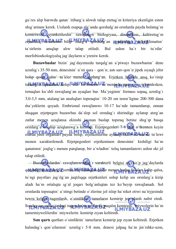  
 
gu`res alıp barıwda qatan` itibarg`a alıwdı talap etetug`ın kriteriya ekenligin esten 
shıg`armaw kerek. Usılardı esapqa alg`anda qorshalg`an orınlarda payda bolatug`ın 
kemiriwshi zıyankeslerdin` rawajlanıw biologiyası, dinamikası, keltiretug`ın 
zıyanlılıq ta`sirlerin bilip olarg`a qorshalg`an orınlardag`ı mikroklimattın` 
ta`sirlerin 
anıqlap 
alıw 
talap 
etiledi. 
Bul 
ushın 
ha`r 
bir 
tu`rdin` 
morfobioekologiyalıq jag`dayların u`yreniw kerek. 
Buzawbaslar bizin` jag`dayımızda tarqalg`an a`piwayı buzawbastın` dene 
uzınlıg`ı 35-50 mm, denesinin` u`sti qara – qon`ır, astı sarı-qon`ır jipek sıyaqlı jıltır 
bolıp qısqa qalın` tu`kler menen qaplang`an. Erjetken halında anıq ko`rinip 
turatug`ın qanatları bolıp, bas bo`liminin` to`meninde qazıwg`a iykemlesken, 
tırnaqları ku`shli rawajlang`an ayaqları bar. Ma`yeginin` forması sopaq, uzınlıg`ı 
3,0-3,5 mm, atalang`an analıqları topıraqtın` 10-20 sm teren`ligine 200-300 dana 
ma`yeklerin qoyadı. Embrional rawajlanıwı 10-17 ku`nde tamamlanıp, onnan 
shıqqan erjetpegen buzawbas da`slep sol orındag`ı shirindige aylanıp atırg`an 
zatlar menen azıqlansa ekinshi jasınan baslap topıraq betine shıg`ıp basqa 
orınlarg`a ko`ship azıqlanıwg`a kirisedi. Erjetpegenleri 7-8 jastı o`tkennen keyin 
olarda jınıs organları payda bolıp, erjetkenlerine aylanıp bul 9-10 ma`rte tu`lewi 
menen xarakterlenedi. Erjetpegenleri erjetkeninen denesinin` kishiligi ha`m 
qanatının` joqlıg`ı menen parqlanıp, bir a`wladtın` tolıq tamamlanıwı ushın eki jıl 
talap etiledi. 
Buzawbaslardın` rawajlanıwındag`ı xarakterli belgisi en` ko`p jag`daylarda 
qorshalg`an orınlarg`a sırttan alıp kelingen qıylar menen barlıq fazaları kelip qalsa, 
tu`ngi payıtları jag`ılg`an jaqtılıqqa erjetkenleri ushıp kelip usı orınlarg`a kirip 
aladı ha`m ortalıqta ıg`al joqarı bolg`anlıqtan tez ko`beyip rawajlanadı. Sol 
orınlarda topıraqtın` u`stingi betinde o`zlerine jol islep ha`reket etiwi na`tiyjesinde 
tuwra kelgen tuqımlardı, o`simliktin` tamırların kemirip jep olardı nabıt etedi. 
Sonday-aq, ashıq jerdegi tuqım ha`m na`llerdi, paqalın kemiredi,  miywelerin ha`m 
tamırmiywelilerdin` miywelerin  kemirip zıyan keltiredi.       
Sım qurtı qurtları o`simliktin` tamırların kemirip jep zıyan keltiredi. Erjetken 
halındag`ı qon`ızlarının` uzınlıg`ı 5-8 mm, denesi jalpaq ha`m jin`ishke-uzın, 
