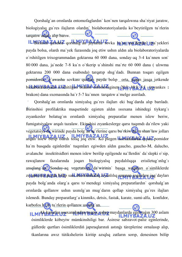  
 
Qorshalg`an orınlarda entomofaglardın` ken`nen tarqalıwına sha`riyat jaratıw, 
biologiyalıq gu`res ilajların olardın` biolaboratoriyalarda ko`beytirilgen tu`rlerin 
tarqatıw arqalı alıp barıw. 
Birinshi gezekte qorshalg`an jaylarda sovka ha`m mo`llerdin` ma`yekleri 
payda bolsa, olardı ma`yek fazasında joq etiw ushın aldın ala biolaboratoriyalarda 
o`rshitilgen trixogrammadan gektarına 60 000 dana, sonday-aq 3-4 ku`nnen son` 
80 000 dana, ja`nede 7-8 ku`n o`tkerip u`shinshi ma`rte 60 000 dana ( ulıwma 
gektarına 200 000 dana esabında) tarqatıp shıg`ıladı. Bunnan tısqarı egilgen 
pomidorda  g`awasha sovkası qurtları payda bolıp  orta, joqarı jasqa jetkende 
biolaboratoriyada o`rshitilgen brakon entomofaginen 20:I; 10:I; 5:I  (zıyankes : 
brakon) dana sxemasında ha`r 5-7 ku`nnen  tarqatıw a`melge asırıladı.  
Qorshalg`an orınlarda ximiyalıq gu`res ilajları eki bag`darda alıp barıladı. 
Birinshisi profilaktika maqsetinde egisten aldın ıssıxana ishindegi tiykarg`ı 
zıyankesler bolatug`ın orınlardı ximiyalıq preparatlar menen islew beriw, 
fumigatsiyalaw arqalı tazalaw. Ekinshisi zıyankeslerge qarsı tuqımdı da`rilew yaki 
vegetatsiya da`wirinde payda bolg`an tu`rlerine qarsı bu`rkiw ha`m shan`law jolları 
arqalı islew berip olardı tolıq joq etiw. Ko`plegen ıssıxanalarda qıyar, pomidor 
ha`m basqada eginlerdin` tuqımları egiwden aldın gaucho, gaucho-M, dalucho, 
avalanche  insektitsidleri menen islew berilip egilgende na`llerdin` da`slepki o`sip, 
rawajlanıw 
fazalarında 
joqarı 
biologiyalıq 
paydalılıqqa 
erisiletug`ınlıg`ı 
anıqlang`an. Sonday-aq vegetatsiya da`wirinin` basqa waqıtları o`simliklerde 
zıyankesler payda bolıp sanı ekonomikalıq zıyanlılıq sanınan joqarılaw jag`dayları 
payda bolg`anda olarg`a qarsı to`mendegi ximiyalıq preparatlardın` qorshalg`an 
orınlarda qollanıw ushın usınılg`an mug`darın qollap ximiyalıq gu`res ilajları 
islenedi. Bunday preparatlarg`a kinmiks, detsis, fastak, karate, sumi-alfa,  konfidor, 
karbofos h.t.b. tu`rlerin qollanıw usınılg`an. 
Ak kanatlar ıssıxanalardan tısqarı, ashıq maydanlarda egiletuǵın 300 aslam 
ósimliklerde kóbeyiw múmkinshiligi bar. Ásirese sabzavot-palız eginlerinde, 
gúllerde qurtları ósimliklerdiń japıraqlarınıń astınǵı táreplerine ornalasıp alıp, 
tkanlarına awız tútikshelerin kiritip azıqlıq zatların sorıp, denesinen bólip 
