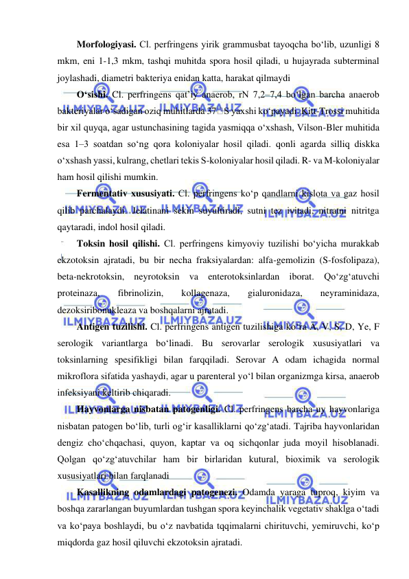  
 
Morfologiyasi. Cl. perfringens yirik grammusbat tayoqcha bo‘lib, uzunligi 8 
mkm, eni 1-1,3 mkm, tashqi muhitda spora hosil qiladi, u hujayrada subterminal 
joylashadi, diametri bakteriya enidan katta, harakat qilmaydi 
O‘sishi. Cl. perfringens qat’iy anaerob, rN 7,2–7,4 bo‘lgan barcha anaerob 
bakteriyalar o‘sadigan oziq muhitlarda 37 S yaxshi ko‘payadi. Kitt-Trossi muhitida 
bir xil quyqa, agar ustunchasining tagida yasmiqqa o‘xshash, Vilson-Bler muhitida 
esa 1–3 soatdan so‘ng qora koloniyalar hosil qiladi. qonli agarda silliq diskka 
o‘xshash yassi, kulrang, chetlari tekis S-koloniyalar hosil qiladi. R- va M-koloniyalar 
ham hosil qilishi mumkin.  
Fermentativ xususiyati. Cl. perfringens ko‘p qandlarni kislota va gaz hosil 
qilib parchalaydi. Jelatinani sekin suyultiradi, sutni tez ivitadi, nitratni nitritga 
qaytaradi, indol hosil qiladi.  
Toksin hosil qilishi. Cl. perfringens kimyoviy tuzilishi bo‘yicha murakkab 
ekzotoksin ajratadi, bu bir necha fraksiyalardan: alfa-gemolizin (S-fosfolipaza), 
beta-nekrotoksin, neyrotoksin va enterotoksinlardan iborat. Qo‘zg‘atuvchi 
proteinaza, 
fibrinolizin, 
kollagenaza, 
gialuronidaza, 
neyraminidaza, 
dezoksiribonukleaza va boshqalarni ajratadi.  
Antigen tuzilishi. Cl. perfringens antigen tuzilishiga ko‘ra A, V, S, D, Ye, F 
serologik variantlarga bo‘linadi. Bu serovarlar serologik xususiyatlari va 
toksinlarning spesifikligi bilan farqqiladi. Serovar A odam ichagida normal 
mikroflora sifatida yashaydi, agar u parenteral yo‘l bilan organizmga kirsa, anaerob 
infeksiyani keltirib chiqaradi.  
Hayvonlarga nisbatan patogenligi. Cl. perfringens barcha uy hayvonlariga 
nisbatan patogen bo‘lib, turli og‘ir kasalliklarni qo‘zg‘atadi. Tajriba hayvonlaridan 
dengiz cho‘chqachasi, quyon, kaptar va oq sichqonlar juda moyil hisoblanadi. 
Qolgan qo‘zg‘atuvchilar ham bir birlaridan kutural, bioximik va serologik 
xususiyatlari bilan farqlanadi 
Kasallikning odamlardagi patogenezi. Odamda yaraga tuproq, kiyim va 
boshqa zararlangan buyumlardan tushgan spora keyinchalik vegetativ shaklga o‘tadi 
va ko‘paya boshlaydi, bu o‘z navbatida tqqimalarni chirituvchi, yemiruvchi, ko‘p 
miqdorda gaz hosil qiluvchi ekzotoksin ajratadi.  
