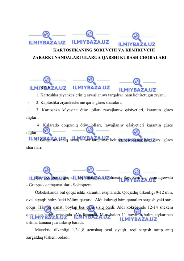  
 
 
 
 
 
KARTOSHKANING SÓRUVCHI VA KEMIRUVCHI 
ZARARKUNANDALARI ULARGA QARSHI KURASH CHORALARI 
 
 
 
     REJE: 
 
 1. Kartoshka zıyankesleriniq rawajlanıwı tarqalıwı hám keltiretugın zıyanı. 
 2. Kaptoshka zıyankeslerine qarsı gúres sharaları. 
 3. Kartoshka kúyesine ótiw jolları rawajlanıw qásiyetleri, karantin gúres 
ilajları. 
               4. Kalarado qoqızınıq ótiw jolları, rawajlanıw qásiyetleri karantin gúres 
ilajları. 
5. Guzgi sovkaniq rawajlanıwı tarqalıwı, keltiretugın zıyanı hám qarsı gúres 
sharaları. 
 
 
 
Túr - Kolorado qoqızı - Leptinotarsa destmlineata Say. Sem`ya - japıraqjewshi 
- Gruppa - qattıqanatlılar - Soleoptera. 
Ózbekst.anda bul qoqız ishki karantin esaplanadı. Qoqızdıq úlkenligi 9-12 mm, 
oval sıyaqlı bolıp ústki bólimi qavariq. Aldı kókregi hám qanatları sargısh yaki sarı-
qoqır. Hár bir qanatı boylap bes qara sızıq ótedi. Aldı kókreginde 12-14 shekem 
qara dagı bolıp, ortasında «V» formada. Murtshaları 11 buwımlı bolıp, tiykarınan 
ushına tamana juwanlasıp baradı. 
Máyektiq úlkenligi 1,2-1,8 uzınshaq oval sıyaqlı, reqi sargısh tartıp anıq 
zargaldaq túskeni boladı. 
