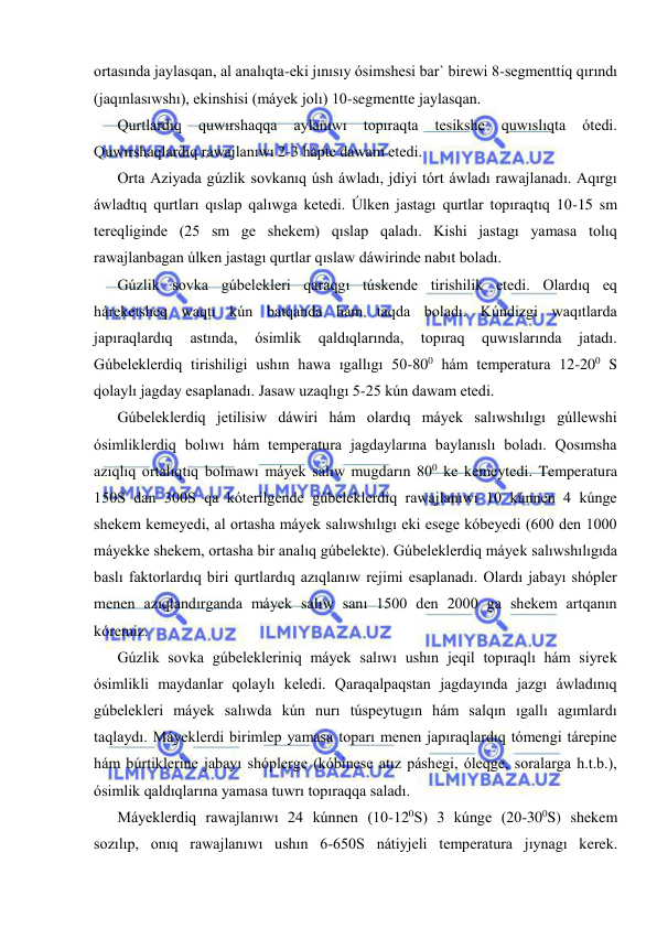  
 
ortasında jaylasqan, al analıqta-eki jınısıy ósimshesi bar` birewi 8-segmenttiq qırındı 
(jaqınlasıwshı), ekinshisi (máyek jolı) 10-segmentte jaylasqan. 
Qurtlardıq 
quwırshaqqa 
aylanıwı 
topıraqta 
tesikshe 
quwıslıqta 
ótedi. 
Quwırshaqlardıq rawajlanıwı 2-3 hápte dawam etedi. 
Orta Aziyada gúzlik sovkanıq úsh áwladı, jdiyi tórt áwladı rawajlanadı. Aqırgı 
áwladtıq qurtları qıslap qalıwga ketedi. Úlken jastagı qurtlar topıraqtıq 10-15 sm 
tereqliginde (25 sm ge shekem) qıslap qaladı. Kishi jastagı yamasa tolıq 
rawajlanbagan úlken jastagı qurtlar qıslaw dáwirinde nabıt boladı. 
Gúzlik sovka gúbelekleri qaraqgı túskende tirishilik etedi. Olardıq eq 
háreketsheq waqtı kún batqanda hám taqda boladı. Kúndizgi waqıtlarda 
japıraqlardıq 
astında, 
ósimlik 
qaldıqlarında, 
topıraq 
quwıslarında 
jatadı. 
Gúbeleklerdiq tirishiligi ushın hawa ıgallıgı 50-800 hám temperatura 12-200 S 
qolaylı jagday esaplanadı. Jasaw uzaqlıgı 5-25 kún dawam etedi. 
Gúbeleklerdiq jetilisiw dáwiri hám olardıq máyek salıwshılıgı gúllewshi 
ósimliklerdiq bolıwı hám temperatura jagdaylarına baylanıslı boladı. Qosımsha 
azıqlıq ortalıqtıq bolmawı máyek salıw mugdarın 800 ke kemeytedi. Temperatura 
150S dan 300S qa kóterilgende gúbeleklerdiq rawajlanıwı 10 kúnnen 4 kúnge 
shekem kemeyedi, al ortasha máyek salıwshılıgı eki esege kóbeyedi (600 den 1000 
máyekke shekem, ortasha bir analıq gúbelekte). Gúbeleklerdiq máyek salıwshılıgıda 
baslı faktorlardıq biri qurtlardıq azıqlanıw rejimi esaplanadı. Olardı jabayı shópler 
menen azıqlandırganda máyek salıw sanı 1500 den 2000 ga shekem artqanın 
kóremiz. 
Gúzlik sovka gúbelekleriniq máyek salıwı ushın jeqil topıraqlı hám siyrek 
ósimlikli maydanlar qolaylı keledi. Qaraqalpaqstan jagdayında jazgı áwladınıq 
gúbelekleri máyek salıwda kún nurı túspeytugın hám salqın ıgallı agımlardı 
taqlaydı. Máyeklerdi birimlep yamasa toparı menen japıraqlardıq tómengi tárepine 
hám búrtiklerine jabayı shóplerge (kóbinese atız páshegi, óleqge, soralarga h.t.b.), 
ósimlik qaldıqlarına yamasa tuwrı topıraqqa saladı. 
Máyeklerdiq rawajlanıwı 24 kúnnen (10-120S) 3 kúnge (20-300S) shekem 
sozılıp, onıq rawajlanıwı ushın 6-650S nátiyjeli temperatura jıynagı kerek. 
