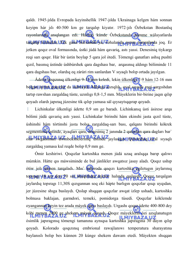  
 
qaldı. 1945-jılda Evropada keyinshellik 1947-jılda Ukrainaga kelgen hám sonnan 
keyipn hár jılı 40-500 km ge tarqalıp kiyatır. 1972-jılı Ózbekstan Bostanlıq 
rayonlarında anıqlangan edi. Házirgi kúnde Ózbekstanda hámme wálayatlarda 
tarqalıp kelmekte. Tek gana Surxandár`ya, vohalarida ayrım tumanlarda joq. Er 
jetken qoqız oval formasında, ústki júdá hám qavariq, astı yassi. Denesiniq tiykargı 
reqi sarı qoqır. Hár bir ústin boylap 5 qara jol ótedi. Tómengi qanatları ashıq pushti 
qızıl, basınıq ústinde úshbúrshek qara dagshası bar,  arqasınıq aldıngı bóliminde 11 
qara dagshası bar, olardıq eq zárúri rim sanlardan V sıyaqlı bolıp ortada jayılgan. 
Ádette qoqızınıq úlkenligi 9-11 mm keledi, lekin úlkenligi 7-9 hám 12-16 mm 
bolgan ayrım qoqızlar da ushıraydı. Máyegi sozıqlılı, oval sıyaqlı reqi sargıshdan 
tartıp rawshan zargaldaq túste, uzınlıgı 0,8-1,5 mm. Máyeklerin bir-birine jaqın qılıp 
qoyadı olardı japıraq júzesine tik qılıp yamasa sál qıysaytıqqırap qoyadı. 
Lichinkalar úlkenligi ádette 0,9 sm ge baradı. Lichinkanıq ústi ásirese arqa 
bólimi júdá qavariq astı yassi. Lichinkalar birinshi hám ekinshi jasta qızıl túste, 
úshinshi hám tórtinshi jasta bolsa zargaldaq-sarı bası, qalqanı birinshi kókrek 
segmentiniq ústinde, ayaqları qara, denesiniq 2 janında 2 qatardan qara dagları bar` 
olar swgalsıman dwmbeksheleriniq ústinde jaylasqan. Quwırshaq oval sıyaqlı 
zargaldaq yamasa kul reqde bolıp 0,9 mm ge. 
Ómir keshiriwi. Qoqızlar kartoshka menen júdá uzaq aralıqqa barıp qalıwı 
múmkin. Hátte qıs máwsiminde de bul jánlikler awqatsız jasay aladı. Qoqız ushıp 
ótiw jolı menen tarqaladı. Mıs` kaloroda qoqızı kartoshka egiletugın jaylarınıq 
topıragı 18 sm den 70 sm shuqırlıqta erjetiw halında qıslaydı. Qoqız tarqalgan 
jaylardıq topıragı 11,30S qızıgannan soq eki hápte barlıgın qoqızlar qısqı uyqıdan, 
jer júzesine shıga baslaydı. Qıslap shıqqan qoqızlar awqat izlep ushadı, kartoshka 
bolmasa baklajan, garmdori, temeki, pomidorga túsedi. Qoqızlar kóklemde 
oyangannan keyin tez arada máyek qoya baslaydı. Urgashı qoqız ádette 400-800 dey 
kóbi menen 2400 ge shekem máyek qoyadı. Qoqız máyeklerin ózi azıqlanatugın 
ósimlik japıragınıq tómengi tamanına aynıqsa kartoshka japıragına 30 dayın qılıp 
qoyadı. Kolorado qoqızınıq embrional rawajlanıwı temperatura sharayatına 
baylanıslı bolıp bes kúnnen 20 kúnge shekem dawam etedi. Máyekten shıqqan 
