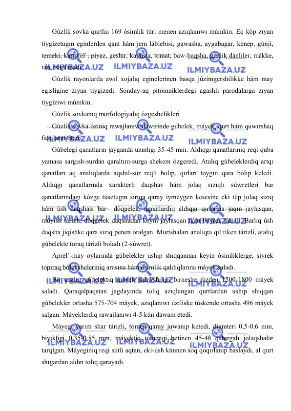  
 
Gúzlik sovka qurtlaı 169 ósimlik túri menen azıqlanıwı múmkin. Eq kóp zıyan 
tiygizetugın eginlerden qant hám jem láblebisi, gawasha, aygabagar, kenep, gúnji, 
temeki, kartofel`, piyaz, geshir, kapusta, tomat, baw-baqsha, gúzlik dánliler, mákke, 
tarı esaplanadı. 
Gúzlik rayonlarda awıl xojalıq eginelerinen basqa júzimgershilikke hám may 
egisligine zıyan tiygizedi. Sonday-aq pitomniklerdegi agashlı parodalarga zıyan 
tiygiziwi múmkin. 
Gúzlik sovkanıq morfologiyalıq ózgeshelikleri 
Gúzlik sovka óziniq rawajlanıw dáwirinde gúbelek, máyek, qurt hám quwırshaq 
fazaların ótedi. 
Gúbelegi qanatların jayganda uzınlıgı 35-45 mm. Aldıqgı qanatlarınıq reqi quba 
yamasa sargısh-surdan qaraltım-surga shekem ózgeredi. Atalıq gúbeleklerdiq artqı 
qanatları aq analıqlarda aqshıl-sur reqli bolıp, qırları toygın qara bolıp keledi. 
Aldıqgı qanatlarında xarakterli daqshav hám jolaq sızıqlı súwretleri bar 
qanatlarındagı kózge túsetugın sırtqa qaray iymeygen kesesine eki túp jolaq sızıq 
hám úsh daqshası bar~ dóqgelek, qanatlardıq aldıqgı qırlarına jaqın jaylasqan, 
múyish tárizli, dóqgelek daqshadan keyin jaylasqan hám búyrek tárizli. Barlıq úsh 
daqsha jiqishke qara sızıq penen oralgan. Murtshaları analıqta qıl tiken tárizli, atalıq 
gúbelekte toraq tárizli boladı (2-súwret). 
Aprel`-may oylarında gúbelekler ushıp shıqqannan keyin ósimliklerge, siyrek 
topıraq bóleksheleriniq arasına hám ósimlik qaldıqlarına máyek saladı. 
Bir analıq gúbelektiq máyek salıwshılıgı birneshe júzden 1500-1800 máyek 
saladı. Qaraqalpaqstan jagdayında tolıq azıqlangan qurtlardan ushıp shıqqan 
gúbelekler ortasha 575-704 máyek, azıqlanıwı úziliske túskende ortasha 496 máyek 
salgan. Máyeklerdiq rawajlanıwı 4-5 kún dawam etedi. 
Máyegi yarım shar tárizli, tómen qaray juwanıp ketedi, diamteri 0,5-0,6 mm, 
biyikligi 0,35-0,55 mm, máyektiq tómengi betinen 45-48 qabırgalı jolaqshalar 
tarqlgan. Máyeginiq reqi sútli aqtan, eki-úsh kúnnen soq qoqırlanıp baslaydı, al qurt 
shıgardan aldın tolıq qarayadı. 
