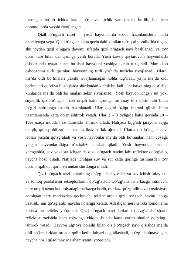 tutashgan  bo‘lib  ichida  katta,  o‘rta  va  kichik  varaqchalar  bo‘lib,  bu  qism
qoramollarda yaxshi rivojlangan.
Qizil  o‘ngach  navi  – yosh  hayvonlarda  oziqa  hazmlanishida  katta
ahamiyatga yega. Qizil o‘ngach katta qorin dahlizi bilan to‘r qorin oralig‘ida tugab,
shu joydan qizil o‘ngach davomi sifatida qizil o‘ngach navi boshlanadi va to‘r
qorin tubi bilan qat qoringa yetib boradi. Yosh kavsh qaytaruvchi hayvonlarda
oshqozonda ovqat hazm bo‘lishi hayvonni yoshiga qarab o‘zgaradi. Murakkab
oshqozonni turli qismlari hayvonning turli yoshida turlicha rivojlanadi. Ularni
me’da oldi bo‘lmalari yaxshi  rivojlanmagan holda tug‘iladi, ya’ni me’da oldi
bo‘lmalari qo‘zi va buzoqlarda shirdondan kichik bo‘ladi. ular hayotining dastlabki
kunlarida me’da oldi bo‘lmalari sekin rivojlanadi. Yosh hayvon ichgan sut yoki
suyuqlik qizil o‘ngach navi orqali katta qoringa tushmay to‘r qorin tubi bilan
to‘g‘ri  shirdonga  tushib  hazmlanadi.  Ular  dag‘al  oziqa  istemol  qilishi  bilan
hazmlanishda katta qorin ishtirok yetadi. Ular 2 – 3 oyligida katta qorinda 10 –
12% oziqa modda hazmlanishda ishtirok qiladi. Natijada bijg‘ish jarayoni avjga
chiqib, quloq oldi so‘lak bezi uzliksiz so‘lak ajratadi. Ularda qizilo‘ngach navi
lablari yaxshi qo‘zg‘aladi va yosh hayvonlar me’da oldi bo‘lmalari ham voyaga
yetgan  hayvonlarnikiga  o‘xshab+  harakat  qiladi.  Yosh  hayvonlar  onasini
yemganida, suv yoki sut ichganida qizil o‘ngach navini labi reflektor qo‘zg‘alib,
naycha hosil qiladi. Natijada ichilgan suv va sut katta qoringa tushmasdan to‘r
qorin orqali qat qorin va undan shirdonga o‘tadi. 
Qizil o‘ngach navi lablarining qo‘zg‘alishi yemish va suv ichish tufayli til
va tomoq pardalarini retseptorlarini qo‘zg‘atadi. Qo‘zg‘alish markazga intiluvchi
nerv orqali uzunchoq miyadagi markazga borib, markaz qo‘zg‘alib javob reaksiyasi
adashgan nerv markazdan qochuvchi tolalar orqali qizil o‘ngach navini labiga
uzatilib, uni qo‘zg‘atib, naycha holatiga keladi. Adashgan nervni ikki tomonlama
kesilsa  bu  refleks  yo‘qoladi.  Qizil  o‘ngach  navi  lablarini  qo‘zg‘alishi  shartli
reflektor  ravishda  ham  ro‘yobga  chiqib,  bunda  katta  yarim  sharlar  po‘stlog‘i
ishtirok yetadi. Hayvon ulg‘oya borishi bilan qizil o‘ngach navi o‘sishda me’da
oldi bo‘lmalaridan orqada qolib ketib, lablari dag‘allashadi, qo‘zg‘alaolmaydigan,
naycha hosil qilaolmay o‘z ahamiyatini yo‘qotadi.
