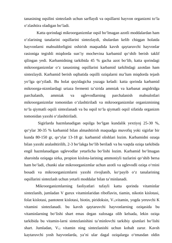 tanasining oqsilini sintezlash uchun sarflaydi va oqsillarni hayvon organizmi to‘la
o‘zlashtira oladigan bo‘ladi.
 Katta qorindagi mikroorganizmlar oqsil bo‘lmagan azotli moddalardan ham
o‘zlarining  tanalarini  oqsillarini  sintezlaydi,  shulardan  kelib  chiqgan  holatda
hayvonlarni  mahsuldorligini  oshirish  maqsadida  kavsh  qaytaruvchi  hayvonlar
rasioniga  tegishli  miqdorda  sun’iy  mochevina  karbamid  qo‘shib  berish  taklif
qilingan yedi. Karbamidning tarkibida 45 % gacha azot bo‘lib, katta qorindagi
mikroorganizmlar  o‘z  tanasining  oqsillarini  karbamid tarkibidagi  azotdan  ham
sintezlaydi. Karbamid berish oqibatida oqsilli oziqalarni ma’lum miqdorda tejash
yo‘lga qo‘yiladi. Bu holat quyidagicha yuzaga keladi: katta qorinda karbamid
mikroorga-nizmlardagi uriaza fermenti ta’sirida ammiak va karbanat angidridga
parchalanib,  ammiak  va  uglevodlarning  parchalanish  mahsulotlari
mikroorganizmlar tomonidan o‘zlashtiriladi va mikroorganizmlar organizmining
to‘la qiymatli oqsili sintezlanadi va bu oqsil to‘la qiymatli oqsil sifatida organizm
tomonidan yaxshi o‘zlashtiriladi.
 Sigirlarda  hazmlanadigan  oqsilga  bo‘lgan  kundalik  yextiyoj  25-30  %,
qo‘ylar 30-35 % karbamid bilan almashtirish maqsadga muvofiq yoki sigirlar bir
kunda 80-150 gr, qo‘ylar 13-18 gr. karbamid olishlari lozim. Karbamidni ozuqa
bilan yaxshi aralashtirilib, 2-3 bo‘lakga bo‘lib beriladi va bu vaqtda oziqa tarkibida
engil hazmlanadigan uglevodlar yetarlicha bo‘lishi lozim. Karbamid bo‘lmagan
sharoitda oziqaga sirka, propion kislota-larining ammoniyli tuzlarini qo‘shib bersa
ham bo‘ladi, chunki ular mikroorganizmlar uchun azotli va uglevodli oziqa o‘rnini
bosadi  va  mikroorganizmlarni  yaxshi  rivojlanib,  ko‘payib  o‘z  tanalarining
oqsillarini sintezlash uchun yetarli moddalar bilan ta’minlanadi. 
 
Mikroorganizmlarning  faoliyatlari  tufayli  katta  qorinda  vitaminlar
sintezlanib, jumladan V gurux vitaminlaridan riboflavin, tiamin, nikotin kislotasi,
folat kislotasi, pantotent kislotasi, biotin, piridoksin, V12vitamin, yogda yeruvchi K
vitamini  sintezlanadi.  bu  kavsh  qaytaruvchi  hayvonlarning  oziqasida  bu
vitaminlarning  bo‘lishi  shart  emas  degan  xulosaga  olib  kelsada,  lekin  oziqa
tarkibida bu vitamin-larni sintezlanishini ta’minlovchi tarkibiy qismlari bo‘lishi
shart.  Jumladan,  V12  vitamin  ning  sintezlanishi  uchun  kobalt  zarur.  Kavsh
kaytaruvchi  yosh  hayvonlarda,  ya’ni  ular  dagal  oziqalarga  o‘tmasdan  oldin
