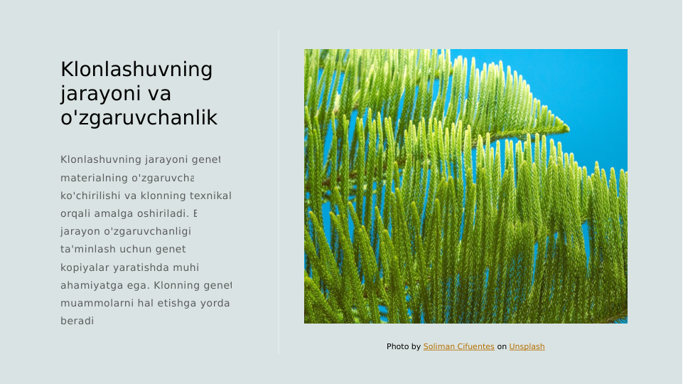 Klonlashuvning 
jarayoni va 
o'zgaruvchanlik
Klonlashuvning jarayoni genetik 
materialning o'zgaruvchan 
ko'chirilishi va klonning texnikalari 
orqali amalga oshiriladi. Bu 
jarayon o'zgaruvchanligini 
ta'minlash uchun genetik 
kopiyalar yaratishda muhim 
ahamiyatga ega. Klonning genetik 
muammolarni hal etishga yordam 
beradi.
Photo by Soliman Cifuentes on Unsplash
