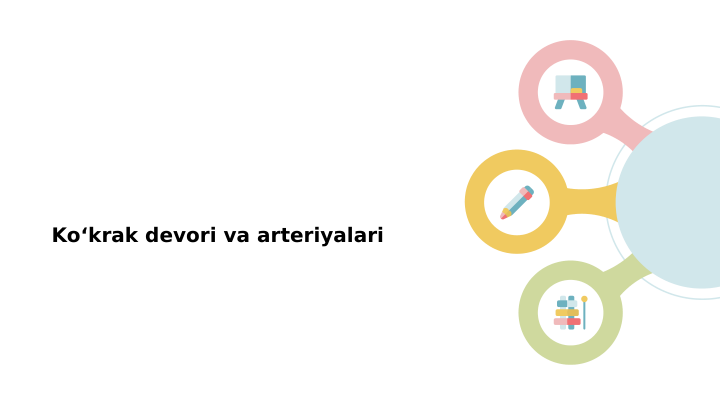 Ko‘krak devori va arteriyalari
