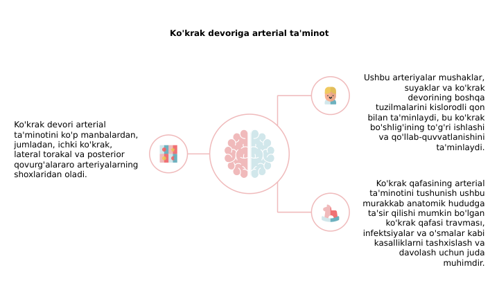 Ko'krak devoriga arterial ta'minot
Ko'krak devori arterial 
ta'minotini ko'p manbalardan, 
jumladan, ichki ko'krak, 
lateral torakal va posterior 
qovurg'alararo arteriyalarning 
shoxlaridan oladi.
Ushbu arteriyalar mushaklar, 
suyaklar va ko'krak 
devorining boshqa 
tuzilmalarini kislorodli qon 
bilan ta'minlaydi, bu ko'krak 
bo'shlig'ining to'g'ri ishlashi 
va qo'llab-quvvatlanishini 
ta'minlaydi.
Ko'krak qafasining arterial 
ta'minotini tushunish ushbu 
murakkab anatomik hududga 
ta'sir qilishi mumkin bo'lgan 
ko'krak qafasi travması, 
infektsiyalar va o'smalar kabi 
kasalliklarni tashxislash va 
davolash uchun juda 
muhimdir.
