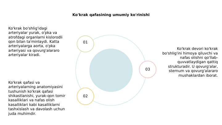 Ko'krak qafasining umumiy ko'rinishi
Ko'krak devori ko'krak 
bo'shlig'ini himoya qiluvchi va 
nafas olishni qo'llab-
quvvatlaydigan qattiq 
strukturadir. U qovurg'alar, 
sternum va qovurg'alararo 
mushaklardan iborat.
01
02
03
Ko'krak bo'shlig'idagi 
arteriyalar yurak, o'pka va 
atrofdagi organlarni kislorodli 
qon bilan ta'minlaydi. Katta 
arteriyalarga aorta, o'pka 
arteriyasi va qovurg'alararo 
arteriyalar kiradi.
Ko'krak qafasi va 
arteriyalarning anatomiyasini 
tushunish ko'krak qafasi 
shikastlanishi, yurak-qon tomir 
kasalliklari va nafas olish 
kasalliklari kabi kasalliklarni 
tashxislash va davolash uchun 
juda muhimdir.
