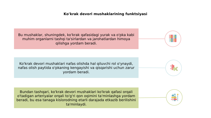 Ko'krak devori mushaklarining funktsiyasi
Ko'krak devori mushaklari nafas olishda hal qiluvchi rol o'ynaydi, 
nafas olish paytida o'pkaning kengayishi va qisqarishi uchun zarur 
yordam beradi.
Bu mushaklar, shuningdek, ko'krak qafasidagi yurak va o'pka kabi 
muhim organlarni tashqi ta'sirlardan va jarohatlardan himoya 
qilishga yordam beradi.
Bundan tashqari, ko'krak devori mushaklari ko'krak qafasi orqali 
o'tadigan arteriyalar orqali to'g'ri qon oqimini ta'minlashga yordam 
beradi, bu esa tanaga kislorodning etarli darajada etkazib berilishini 
ta'minlaydi.
