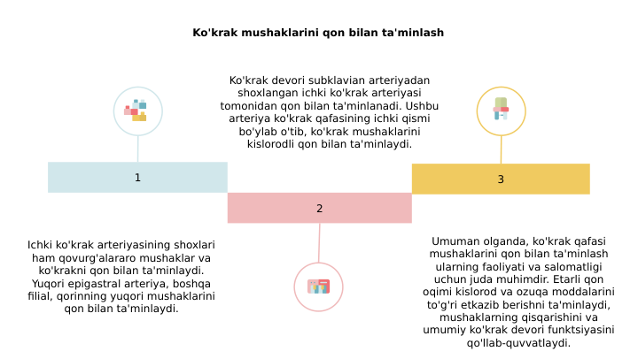 Ko'krak mushaklarini qon bilan ta'minlash
1
2
3
Ko'krak devori subklavian arteriyadan 
shoxlangan ichki ko'krak arteriyasi 
tomonidan qon bilan ta'minlanadi. Ushbu 
arteriya ko'krak qafasining ichki qismi 
bo'ylab o'tib, ko'krak mushaklarini 
kislorodli qon bilan ta'minlaydi.
Ichki ko'krak arteriyasining shoxlari 
ham qovurg'alararo mushaklar va 
ko'krakni qon bilan ta'minlaydi. 
Yuqori epigastral arteriya, boshqa 
filial, qorinning yuqori mushaklarini 
qon bilan ta'minlaydi.
Umuman olganda, ko'krak qafasi 
mushaklarini qon bilan ta'minlash 
ularning faoliyati va salomatligi 
uchun juda muhimdir. Etarli qon 
oqimi kislorod va ozuqa moddalarini 
to'g'ri etkazib berishni ta'minlaydi, 
mushaklarning qisqarishini va 
umumiy ko'krak devori funktsiyasini 
qo'llab-quvvatlaydi.

