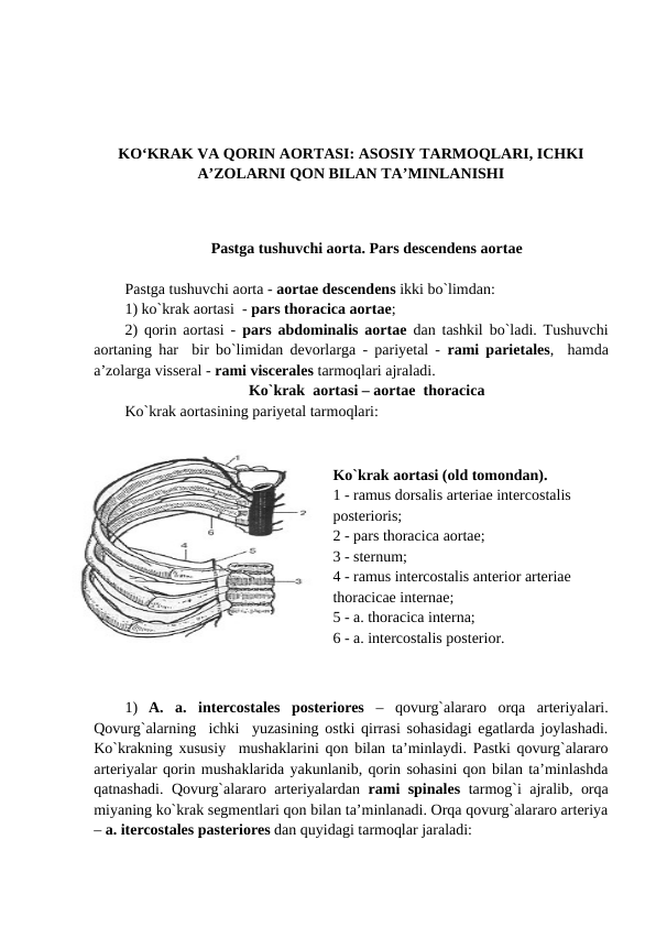 KO‘KRAK VA QORIN AORTASI: ASOSIY TARMOQLARI, ICHKI
A’ZOLARNI QON BILAN TA’MINLANISHI
Pastga tushuvchi aorta. Pars descendens aortae
Pastga tushuvchi aorta - aortae descendens ikki bo`limdan: 
1) ko`krak aortasi  - pars thoracica aortae; 
2) qorin aortasi -  pars abdominalis aortae  dan tashkil bo`ladi. Tushuvchi
aortaning har  bir bo`limidan devorlarga - pariyetal -  rami parietales,  hamda
a’zolarga visseral - rami viscerales tarmoqlari ajraladi.  
Ko`krak  aortasi – aortae  thoracica
Ko`krak aortasining pariyetal tarmoqlari: 
                                 
Ko`krak aortasi (old tomondan).  
1 - ramus dorsalis arteriae intercostalis 
posterioris; 
2 - pars thoracica aortae; 
3 - sternum; 
4 - ramus intercostalis anterior arteriae 
thoracicae internae; 
5 - a. thoracica interna; 
6 - a. intercostalis posterior. 
 
                                                                     
1) A.  a.  intercostales  posteriores –  qovurg`alararo  orqa  arteriyalari.
Qovurg`alarning  ichki  yuzasining ostki qirrasi sohasidagi egatlarda joylashadi.
Ko`krakning xususiy  mushaklarini qon bilan ta’minlaydi. Pastki qovurg`alararo
arteriyalar qorin mushaklarida yakunlanib, qorin sohasini qon bilan ta’minlashda
qatnashadi. Qovurg`alararo arteriyalardan  rami spinales tarmog`i ajralib, orqa
miyaning ko`krak segmentlari qon bilan ta’minlanadi. Orqa qovurg`alararo arteriya
– a. itercostales pasteriores dan quyidagi tarmoqlar jaraladi:
