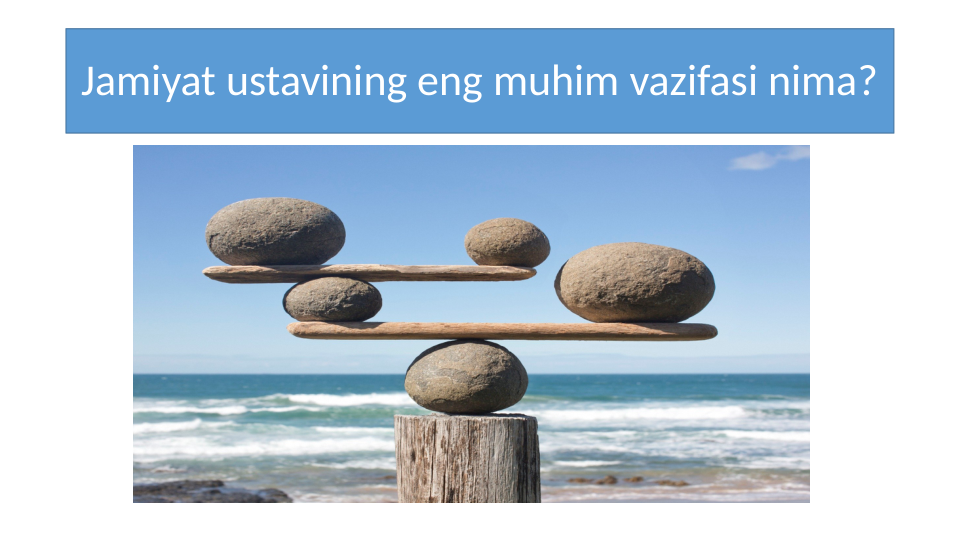 Jamiyat ustavining eng muhim vazifasi nima?
