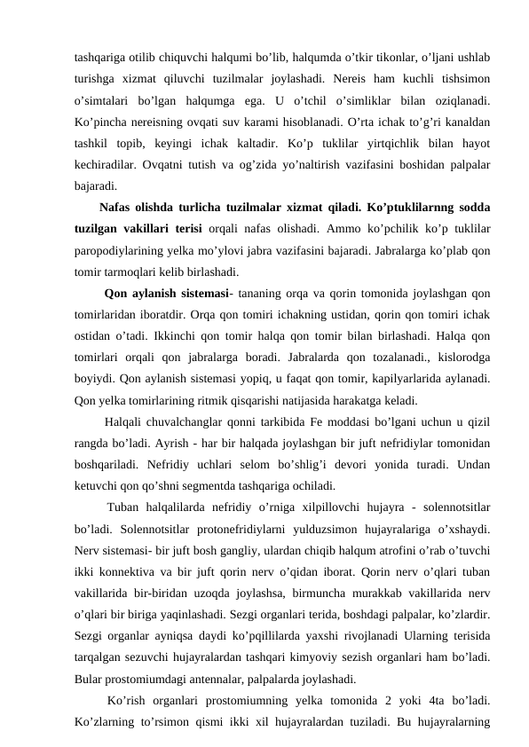 tashqariga otilib chiquvchi halqumi bo’lib, halqumda o’tkir tikonlar, o’ljani ushlab
turishga  xizmat  qiluvchi  tuzilmalar  joylashadi.  Nereis  ham  kuchli  tishsimon
o’simtalari  bo’lgan  halqumga  ega.  U  o’tchil  o’simliklar  bilan  oziqlanadi.
Ko’pincha nereisning ovqati suv karami hisoblanadi. O’rta ichak to’g’ri kanaldan
tashkil  topib,  keyingi  ichak  kaltadir.  Ko’p  tuklilar  yirtqichlik  bilan  hayot
kechiradilar. Ovqatni tutish va og’zida yo’naltirish vazifasini boshidan palpalar
bajaradi.
Nafas olishda turlicha tuzilmalar xizmat qiladi. Ko’ptuklilarnng sodda
tuzilgan vakillari terisi  orqali nafas olishadi. Ammo ko’pchilik ko’p tuklilar
paropodiylarining yelka mo’ylovi jabra vazifasini bajaradi. Jabralarga ko’plab qon
tomir tarmoqlari kelib birlashadi. 
 Qon aylanish sistemasi- tananing orqa va qorin tomonida joylashgan qon
tomirlaridan iboratdir. Orqa qon tomiri ichakning ustidan, qorin qon tomiri ichak
ostidan o’tadi. Ikkinchi qon tomir halqa qon tomir bilan birlashadi. Halqa qon
tomirlari  orqali  qon  jabralarga  boradi.  Jabralarda  qon  tozalanadi.,  kislorodga
boyiydi. Qon aylanish sistemasi yopiq, u faqat qon tomir, kapilyarlarida aylanadi.
Qon yelka tomirlarining ritmik qisqarishi natijasida harakatga keladi. 
 Halqali chuvalchanglar qonni tarkibida Fe moddasi bo’lgani uchun u qizil
rangda bo’ladi. Ayrish - har bir halqada joylashgan bir juft nefridiylar tomonidan
boshqariladi.  Nefridiy  uchlari  selom  bo’shlig’i  devori  yonida  turadi.  Undan
ketuvchi qon qo’shni segmentda tashqariga ochiladi. 
 Tuban  halqalilarda  nefridiy  o’rniga  xilpillovchi  hujayra  -  solennotsitlar
bo’ladi.  Solennotsitlar  protonefridiylarni  yulduzsimon  hujayralariga  o’xshaydi.
Nerv sistemasi- bir juft bosh gangliy, ulardan chiqib halqum atrofini o’rab o’tuvchi
ikki konnektiva va bir juft qorin nerv o’qidan iborat. Qorin nerv o’qlari tuban
vakillarida bir-biridan uzoqda joylashsa, birmuncha murakkab vakillarida nerv
o’qlari bir biriga yaqinlashadi. Sezgi organlari terida, boshdagi palpalar, ko’zlardir.
Sezgi organlar ayniqsa daydi ko’pqillilarda yaxshi rivojlanadi Ularning terisida
tarqalgan sezuvchi hujayralardan tashqari kimyoviy sezish organlari ham bo’ladi.
Bular prostomiumdagi antennalar, palpalarda joylashadi.
 Ko’rish  organlari  prostomiumning  yelka  tomonida  2  yoki  4ta  bo’ladi.
Ko’zlarning to’rsimon qismi ikki xil hujayralardan tuziladi. Bu hujayralarning

