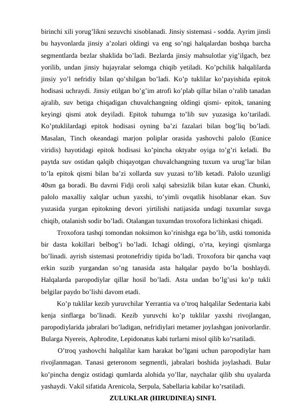 birinchi xili yorug’likni sezuvchi xisoblanadi. Jinsiy sistemasi - sodda. Ayrim jinsli
bu hayvonlarda jinsiy a’zolari oldingi va eng so’ngi halqalardan boshqa barcha
segmentlarda bezlar shaklida bo’ladi. Bezlarda jinsiy mahsulotlar yig’ilgach, bez
yorilib, undan jinsiy hujayralar selomga chiqib yetiladi. Ko’pchilik halqalilarda
jinsiy yo’l nefridiy bilan qo’shilgan bo’ladi. Ko’p tuklilar ko’payishida epitok
hodisasi uchraydi. Jinsiy etilgan bo’g’im atrofi ko’plab qillar bilan o’ralib tanadan
ajralib, suv betiga chiqadigan chuvalchangning oldingi qismi- epitok, tananing
keyingi  qismi  atok  deyiladi.  Epitok  tuhumga  to’lib  suv  yuzasiga  ko’tariladi.
Ko’ptuklilardagi  epitok  hodisasi  oyning  ba’zi  fazalari  bilan  bog’liq  bo’ladi.
Masalan,  Tinch  okeandagi  marjon  poliplar  orasida  yashovchi  palolo  (Eunice
viridis)  hayotidagi epitok hodisasi  ko’pincha oktyabr  oyiga to’g’ri keladi. Bu
paytda suv ostidan qalqib chiqayotgan chuvalchangning tuxum va urug’lar bilan
to’la epitok qismi bilan ba’zi xollarda suv yuzasi to’lib ketadi. Palolo uzunligi
40sm ga boradi. Bu davrni Fidji oroli xalqi sabrsizlik bilan kutar ekan. Chunki,
palolo  maxalliy  xalqlar  uchun  yaxshi,  to’yimli  ovqatlik  hisoblanar  ekan.  Suv
yuzasida  yurgan  epitokning  devori  yirtilishi  natijasida  undagi  tuxumlar  suvga
chiqib, otalanish sodir bo’ladi. Otalangan tuxumdan troxofora lichinkasi chiqadi.
 Troxofora tashqi tomondan noksimon ko’rinishga ega bo’lib, ustki tomonida
bir  dasta  kokillari  belbog’i  bo’ladi.  Ichagi  oldingi,  o’rta,  keyingi  qismlarga
bo’linadi. ayrish sistemasi protonefridiy tipida bo’ladi. Troxofora bir qancha vaqt
erkin  suzib  yurgandan  so’ng  tanasida  asta  halqalar  paydo  bo’la  boshlaydi.
Halqalarda  paropodiylar  qillar  hosil  bo’ladi.  Asta  undan  bo’lg’usi  ko’p  tukli
belgilar paydo bo’lishi davom etadi.
 Ko’p tuklilar kezib yuruvchilar Yerrantia va o’troq halqalilar Sedentaria kabi
kenja  sinflarga  bo’linadi.  Kezib  yuruvchi  ko’p  tuklilar  yaxshi  rivojlangan,
paropodiylarida jabralari bo’ladigan, nefridiylari metamer joylashgan jonivorlardir.
Bularga Nyereis, Aphrodite, Lepidonatus kabi turlarni misol qilib ko’rsatiladi.
 O’troq yashovchi halqalilar kam harakat bo’lgani uchun paropodiylar ham
rivojlanmagan. Tanasi geteronom segmentli, jabralari boshida joylashadi. Bular
ko’pincha dengiz ostidagi qumlarda alohida yo’llar, naychalar qilib shu uyalarda
yashaydi. Vakil sifatida Arenicola, Serpula, Sabellaria kabilar ko’rsatiladi.
ZULUKLAR (HIRUDINEA) SINFI.
