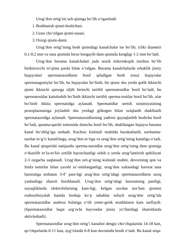 Urug‘don ortig‘ini uch qismga bo‘lib o‘rganiladi:
1. Boshlanish qismi-boshchasi.
2. Uzun cho‘zilgan qismi-tanasi.
3. Oxirgi qismi-dumi.
Urug‘don ortig‘ining bosh qismidagi kanalchalar tor bo‘lib, ichki diametri
0,1-0,2 mm va tana qismida biroz kengayib dum qismida kengligi 1-2 mm bo‘ladi.
Urug‘don  burama  kanalchalari  juda  nozik  mikroskopik  tuzilma  bo‘lib
biriktiruvchi to‘qima parda bilan o‘ralgan. Burama kanalchalarda erkaklik jinsiy
hujayralari  spermatozoidlarni  hosil  qiladigan  bosh  (ona)  hujayralar
spermatagoniylar bo‘lib, bu hujayralar bo‘linib, bir qismi shu yerda qolib ikkinchi
qismi  ikkinchi  qatorga  siljib  birinchi  tartibli  spermatosidlar  hosil  bo‘ladi,  bu
spermatositlar kattalashib bo‘linib ikkinchi tartibli sperma-tositlar hosil bo‘lib, ular
bo‘linib  ikkita  spermatidga  aylanadi.  Spermatidlar  sertoli  sinsitsiyasining
protoplazmasiga  joylashib  shu  yerdagi  glikogen  bilan  oziqlanib  shakllanib
spermatazoidga aylanadi. Spermatazoidlarning yadrosi quyuqlashib boshcha hosil
bo‘ladi, qarama-qarshi tomonida dumcha hosil bo‘lib, shakllangan hujayra burama
kanal  bo‘shlig‘iga  tushadi.  Kuchsiz  kislotali  muhitda  harakatlanib,  navbatma-
navbat to‘g‘ri kanalchaga, urug‘don to‘riga va urug‘don ortig‘ining kanaliga o‘tadi.
Bu kanal qisqarishi natijasida sperma-tazoidlar urug‘don ortig‘ining dum qismiga
o‘tkazilib to‘la-to‘kis yetilib hayotchanligi oshib u yerda urug‘lantirish qobiliyati
2-3 oygacha saqlanadi. Urug‘don orti-g‘ining kislotali muhiti, devorining qon va
limfa tomirlar bilan yaxshi ta’-minlanganligi, urug‘don xaltasidagi harorat tana
haroratiga  nisbatan  3-4o past-ligi  urug‘don  ortig‘idagi  spermatazoidlarni  uzoq
yashashiga  sharoit  hisoblanadi.  Urug‘don  ortig‘idagi  haroratning  pastligi,
suyuqliklarda  elektrolitlarning  kam-ligi,  kelgan  suvdan  ma’lum  qismini
reabsorbsiyalab  hamda  boshqa  ko‘p  sabablar  tufayli  urug‘don  ortig‘ida
spermatazoidlar  anabioz  holatiga  o‘tib  yener-getik  moddalarni  kam  sarflaydi.
(Spermatazoidlar  faqat  urg‘ochi  hayvonlar  jinsiy  yo‘llaridagi  sharoitlarda
aktivlashadi).
Spermatazoidlar urug‘don ortig‘i kanalini dengiz cho‘chqalarida 14-18 kun,
qo‘chqorlarda 6-11 kun, ayg‘irlarda 6-8 kun davomida bosib o‘tadi. Bu kanal orqa-

