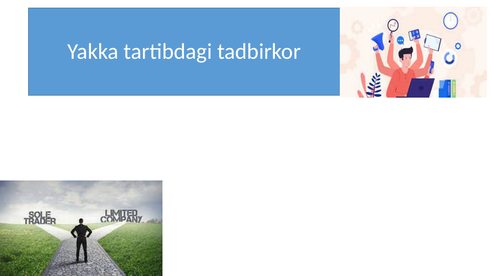 Yakka tartibdagi tadbirkor
