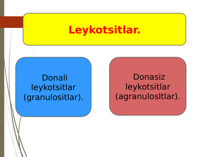 Leykotsitlar.
 Donali 
leykotsitlar 
(granulositlar).
 Donasiz 
leykotsitlar 
(agranulosltlar).
