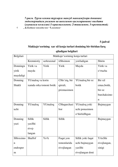  
 
Unsimon endospermda kraxmal ko‘p, oqsil kam bo‘lsa, Shoxsimon 
endospermda,   
 
 
5-jadval 
Makkajo‘xorining  xar xil kenja turlari donining bir-biridan farq 
qiladigan belgilari 
Belgilari 
Makkajo‘xorining kenja turlari 
Kremnistiy 
serkraxmal 
tiShsimon 
yoriladigan 
Shirin 
Donningn 
yirik 
maydaligi 
Yirik va 
mayda 
Yirik 
Yirik 
Mayda 
Yirik va 
o‘rtacha 
Donning 
Shakli 
YUmaloq va korin 
xamda orka tomoni botik 
CHo‘ziq, bir 
qirrali, 
prizmasimon 
YUmaloq bir oz 
botik 
Bir xil 
emas,botik, 
bir oz 
burchaksimo
n 
Donning 
uchi 
YUmaloq 
YUmaloq 
CHuqurchasi 
bor 
YUmaloq yoki 
uchi ponasimon 
o‘tkirlaShgan 
Bujmaygan 
Donning 
yuzi 
Sillik 
yaxShi 
rivoj-
langan 
Sillik 
Sillik 
 
Bujmaygan 
SHoxsimo
n 
endosper
m 
Shaffof 
Yo‘k 
Faqat yon 
tomonlarida  
rivojlangan 
Sillik yoki faqat 
uchi bujmaygan 
yaxShi 
rivojlangan doni 
YAxShi 
rivojlangan, 
sinigi 
7-расм. Турли кенжа турларга мансуб маккажўхори донининг 
эндоспермадаги унсимон ва шохсимон қисмларининнг нисбати 
(узунасига кесилган) 1-крахмалсимон; 2-тишсимон; 3-кремнистий; 
4-бодроқланадиган; 5-ширин; 
