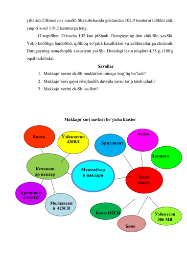 yillarida CHinoz nav sinaSh Shaxobchasida gektaridan 102,9 tsenterni taShkil etdi, 
yuqori xosil 119,2 tsentnerga teng. 
O‘rtapiShar. O‘rtacha 102 kun piShadi. Duragayning don chikiShi yaxShi, 
Yotib koliShga bardoShli, qiShloq xo‘jalik kasalliklari va xaShoratlariga chidamli. 
Duragayning ozuqaboplik xususiyati yaxShi. Donidagi lezin miqdori 4,38 g, (100 g 
oqsil tarkibida). 
Savollar 
1. Makkajo‘xorini ekiSh muddatlari nimaga bog‘liq bo‘ladi? 
2. Makkajo‘xori qaysi rivojlaniSh davrida suvni ko‘p talab qiladi? 
3. Makkajo‘xorini ekiSh usullari? 
 
 
 
Makkajo‘xori navlari bo‘yicha klaster 
а 
 
 
 
 
 
 
 
 
 
 
 
 
 
 
 
Маккжўхор
и навлари 
Эртап
ишар 
навлар 
Кечипиш
ар навлар 
Авизо 
Бемо 
Бриллиант 
Бемо-182СВ 
Ватан 
 
Доминго 
Кремниста
я УзРОС 
Молдавски
й  425СВ 
 
Ўзбектсон 
306 МВ 
Ўзбекистон  
420ВЛ 

