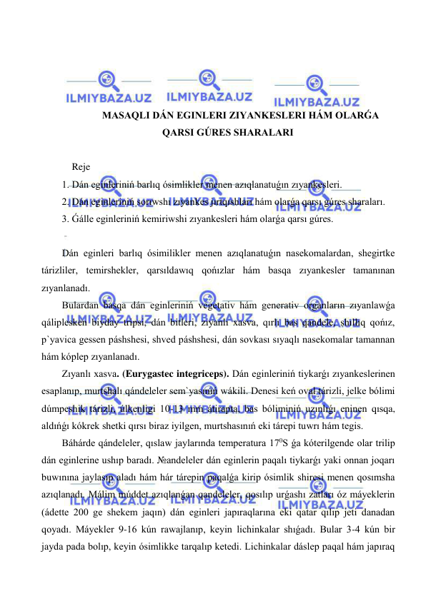  
 
 
 
 
 
MASAQLI DÁN EGINLERI ZIYANKESLERI HÁM OLARǴA 
QARSI GÚRES SHARALARI 
 
    Reje 
1. Dán eginleriniń barlıq ósimlikler menen azıqlanatuǵın zıyankesleri. 
2. Dán eginleriniń sorıwshı zıyankes jırtqıshları hám olarǵa qarsı gúres sharaları. 
3. Ǵálle eginleriniń kemiriwshi zıyankesleri hám olarǵa qarsı gúres. 
 
Dán eginleri barlıq ósimilikler menen azıqlanatuǵın nasekomalardan, shegirtke 
tárizliler, temirshekler, qarsıldawıq qońızlar hám basqa zıyankesler tamanınan 
zıyanlanadı. 
Bulardan basqa dán eginleriniń vegetativ hám generativ organların zıyanlawǵa 
qáliplesken biyday tripsi, dán bitleri, zıyanlı xasva, qırlı bas qandele, shıllıq qońız, 
p`yavica gessen páshshesi, shved páshshesi, dán sovkası sıyaqlı nasekomalar tamannan 
hám kóplep zıyanlanadı. 
Zıyanlı xasva. (Eurygastec integriceps). Dán eginleriniń tiykarǵı zıyankeslerinen 
esaplanıp, murtshalı qándeleler sem`yasınıń wákili. Denesi keń oval tárizli, jelke bólimi 
dúmpeshik tárizli, úlkenligi 10-13 mm átirapta, bas bóliminiń uzınlıǵı eninen qısqa, 
aldıńǵı kókrek shetki qırsı biraz iyilgen, murtshasınıń eki tárepi tuwrı hám tegis. 
Báhárde qándeleler, qıslaw jaylarında temperatura 170S ǵa kóterilgende olar trilip 
dán eginlerine ushıp baradı. №andeleler dán eginlerin paqalı tiykarǵı yaki onnan joqarı 
buwınına jaylasıp aladı hám hár tárepin paqalǵa kirip ósimlik shiresi menen qosımsha 
azıqlanadı. Málim múddet azıqlanǵan qandeleler, qosılıp urǵashı zatları óz máyeklerin 
(ádette 200 ge shekem jaqın) dán eginleri japıraqlarına eki qatar qılıp jeti danadan 
qoyadı. Máyekler 9-16 kún rawajlanıp, keyin lichinkalar shıǵadı. Bular 3-4 kún bir 
jayda pada bolıp, keyin ósimlikke tarqalıp ketedi. Lichinkalar dáslep paqal hám japıraq 
