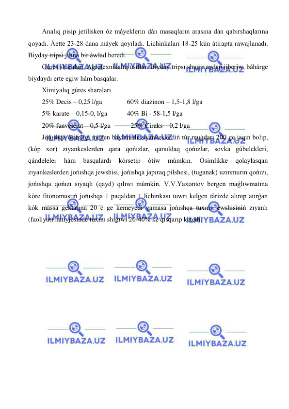  
 
Analıq pisip jetilisken óz máyeklerin dán masaqların arasına dán qabırshaqlarına 
qoyadı. Áette 23-28 dana máyek qoyıladı. Lichinkaları 18-25 kún átirapta rawajlanadı. 
Biyday tripsi jılına bir áwlad beredi. 
Gúres sharaları. Agrotexnikalıq usıllar. Biyday tripsı shuqır aydap jiberiw, báhárge 
biydaydı erte egiw hám basqalar. 
Ximiyalıq gúres sharaları. 
25% Decis – 0,25 l/ga 
          60% diazinon – 1,5-1,8 l/ga 
5% karate – 0,15-0, l/ga           40% Bi - 58-1,5 l/ga 
20% fanvelerat – 0,5 l/ga            25% Ciraks – 0,2 l/ga 
Jońıshqa ósimligi menen baylanıslı zıyankeslerdiń túr muǵdarı 200 ge jaqın bolıp, 
(kóp xor) zıyankeslerden qara qońızlar, qarsıldaq qońızlar, sovka gúbelekleri, 
qándeleler 
hám 
basqalardı 
kórsetip 
ótiw 
múmkin. 
Ósimlikke 
qolaylasqan 
zıyankeslerden jońıshqa jewshisi, jońıshqa japıraq pilshesi, (tuganak) uzınmurın qońızı, 
jońıshqa qońızı sıyaqlı (qayd) qılıwı múmkin. V.V.Yaxontov bergen maǵlıwmatına 
kóre fitonomustıń jońıshqa 1 paqaldan 1 lichinkası tuwrı kelgen tárizde alınıp atırǵan 
kók massa gektarına 20 c ge kemeyedi yamasa jońıshqa tuxım jewshisiniń zıyanlı 
(faoliyat) nátiyjesinde tuxım shıǵıwı 20-40% ke qısqarıp ketedi. 
 
