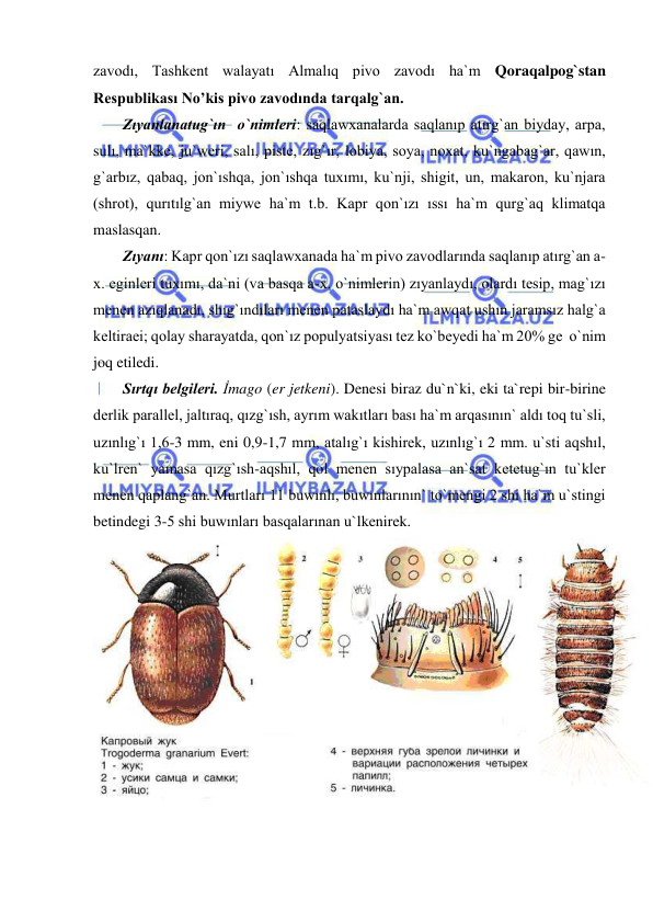  
 
zavodı, Tashkent walayatı Almalıq pivo zavodı ha`m Qoraqalpog`stan 
Respublikası No’kis pivo zavodında tarqalg`an.  
Zıyanlanatug`ın  o`nimleri: saqlawxanalarda saqlanıp atırg`an biyday, arpa, 
sulı, ma`kke, ju`weri, salı, piste, zıg`ır, lobiya, soya, noxat, ku`ngabag`ar, qawın, 
g`arbız, qabaq, jon`ıshqa, jon`ıshqa tuxımı, ku`nji, shigit, un, makaron, ku`njara 
(shrot), qurıtılg`an miywe ha`m t.b. Kapr qon`ızı ıssı ha`m qurg`aq klimatqa 
maslasqan. 
Zıyanı: Kapr qon`ızı saqlawxanada ha`m pivo zavodlarında saqlanıp atırg`an a-
x. eginleri tuxımı, da`ni (va basqa a-x. o`nimlerin) zıyanlaydı, olardı tesip, mag`ızı 
menen azıqlanadı, shıg`ındıları menen pataslaydı ha`m awqat ushın jaramsız halg`a 
keltiraei; qolay sharayatda, qon`ız populyatsiyası tez ko`beyedi ha`m 20% ge  o`nim 
joq etiledi. 
Sırtqı belgileri. İmago (er jetkeni). Denesi biraz du`n`ki, eki ta`repi bir-birine 
derlik parallel, jaltıraq, qızg`ısh, ayrım wakıtları bası ha`m arqasının` aldı toq tu`sli, 
uzınlıg`ı 1,6-3 mm, eni 0,9-1,7 mm, atalıg`ı kishirek, uzınlıg`ı 2 mm. u`sti aqshıl, 
ku`lren` yamasa qızg`ısh-aqshıl, qol menen sıypalasa an`sat ketetug`ın tu`kler 
menen qaplang`an. Murtları 11 buwınlı, buwınlarının` to`mengi 2 shi ha`m u`stingi 
betindegi 3-5 shi buwınları basqalarınan u`lkenirek. 
 
 
